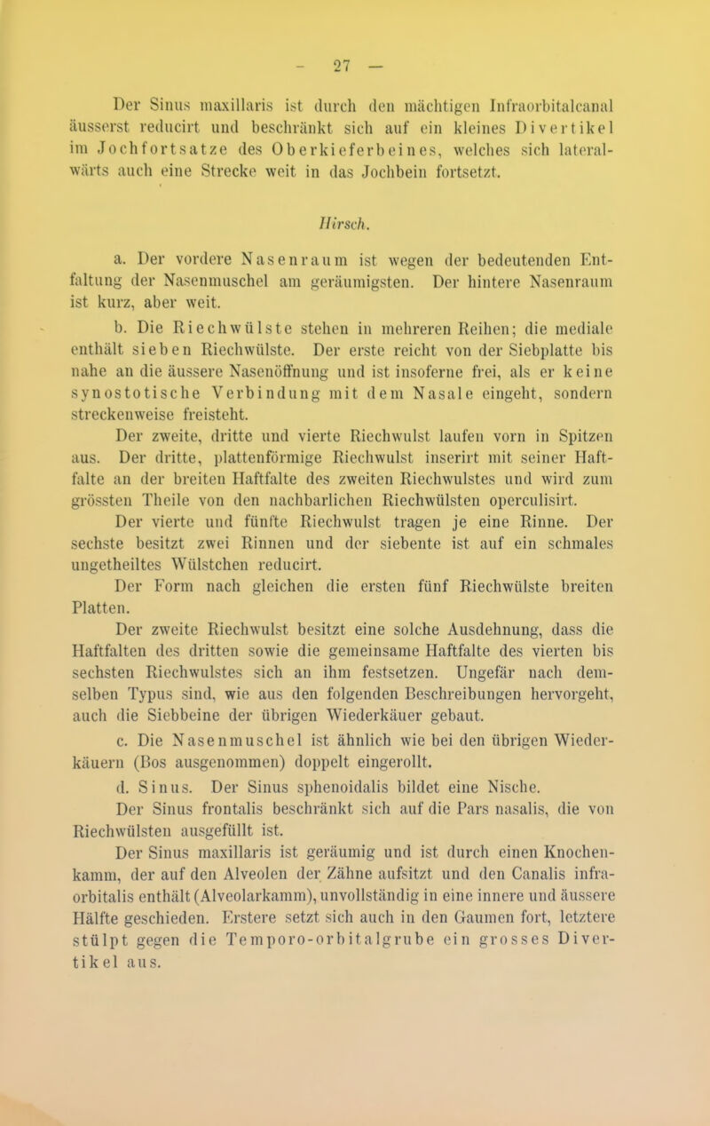 Der Sinus inaxillaris ist durch den mächtigen Infraorbitalcanal äusserst reducirt und beschränkt sich auf ein kleines Divertikel im Jochfortsatze des Oberkieferbeines, welches sich lateral- wärts auch eine Strecke weit in das Jochbein fortsetzt. « Hirsch. a. Der vordere Nasenraum ist wegen der bedeutenden Ent- faltung der Nasennuischel am geräumigsten. Der hintere Nasenraum ist kurz, aber weit. b. Die Riechwülste stehen in mehreren Reihen; die mediale enthält sieben Riechwülste. Der erste reicht von der Siebplatte bis nahe an die äussere Nasenöffnung und ist insoferne frei, als er keine synostotische Verbindung mit dem Nasale eingeht, sondern streckenweise freisteht. Der zweite, dritte und vierte Riechwulst laufen vorn in Spitzen aus. Der dritte, plattenförmige Riechwulst inserirt mit seiner Haft- falte an der breiten Haftfalte des zweiten Riechwulstes und wird zum grössten Theile von den nachbarlichen Riechwülsten operculisirt. Der vierte und fünfte Riechwulst tragen je eine Rinne. Der sechste besitzt zwei Rinnen und der siebente ist auf ein schmales ungetheiltes Wülstchen reducirt. Der Form nach gleichen die ersten fünf Riechwülste breiten Platten. Der zweite Riechwulst besitzt eine solche Ausdehnung, dass die Haftfalten des dritten sowie die gemeinsame Haftfalte des vierten bis sechsten Riechwulstes sich an ihm festsetzen. Ungefär nach dem- selben Typus sind, wie aus den folgenden Beschreibungen hervorgeht, auch die Siebbeine der übrigen Wiederkäuer gebaut. c. Die Nasenmuschel ist ähnlich wie bei den übrigen Wieder- käuern (Bos ausgenommen) doppelt eingerollt. d. Sinus. Der Sinus sphenoidalis bildet eine Nische. Der Sinus frontalis beschränkt sich auf die Pars nasalis, die von Riechwülsten ausgefüllt ist. Der Sinus maxillaris ist geräumig und ist durch einen Knochen- kamm, der auf den Alveolen der Zähne aufsitzt und den Canalis infra- orbitalis enthält (Alveolarkamm), unvollständig in eine innere und äussere Hälfte geschieden. Erstere setzt sich auch in den Gaumen fort, letztere stülpt gegen die Temporo-orbitalgrube ein grosses Diver- tikel aus.