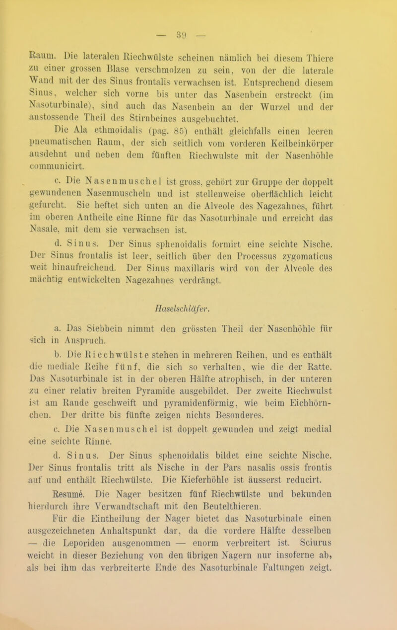 Raum. Die lateralen Riechwülste scheinen nämlich bei diesem Thiere zu einer grossen Blase verschmolzen zu sein, von der die laterale Wand mit der des Sinus frontalis verwachsen ist. Entsprechend diesem Sinus, welcher sich vorne bis unter das Nasenbein erstreckt (im Nasoturbinale), sind auch das Nasenbein an der Wurzel und der anstossende Theil des Stirnbeines ausgebuchtet. Die Ala ethmoidalis (pag. 85) enthält gleichfalls einen leeren pneumatischen Raum, der sich seitlich vom vorderen Keilbeinkörper ausdehnt und neben dem fünften Riechwulste mit der Nasenhöhle communicirt. c. Die Nasenmuschel ist gross, gehört zur Gruppe der doppelt gewundenen Nasenmuscheln und ist stellenweise oberflächlich leicht gefurcht. Sie heftet sich unten an die Alveole des Nagezahnes, führt im oberen Antheile eine Rinne für das Nasoturbinale und erreicht das Nasale, mit dem sie verwachsen ist. d. Sinus. Der Sinus sphenoidalis formirt eine seichte Nische. Der Sinus frontalis ist leer, seitlich über den Processus zygomaticus weit hinaufreichend. Der Sinus maxillaris wird von der Alveole des mächtig entwickelten Nagezahnes verdrängt. Haselschläfer. a. Das Siebbein nimmt den grössten Theil der Nasenhöhle für sich in Anspruch. b. Die Riechwülste stehen in mehreren Reihen, und es enthält die mediale Reihe fünf, die sich so verhalten, wie die der Ratte. Das Nasoturbinale ist in der oberen Hälfte atrophisch, in der unteren zu einer relativ breiten Pyramide ausgebildet. Der zweite Riechwulst ist am Rande geschweift und pyramidenförmig, wie beim Eichhörn- chen. Der dritte bis fünfte zeigen nichts Besonderes. c. Die Nasen muschel ist doppelt gewunden und zeigt medial eine seichte Rinne. d. Sinus. Der Sinus sphenoidalis bildet eine seichte Nische. Der Sinus frontalis tritt als Nische in der Pars nasalis ossis frontis auf und enthält Riechwülste. Die Kieferhöhle ist äusserst reducirt. Resume. Die Nager besitzen fünf Riechwülste und bekunden hierdurch ihre Verwandtschaft mit den Beutelthieren. Für die Eintheilung der Nager bietet das Nasoturbinale einen ausgezeichneten Anhaltspunkt dar, da die vordere Hälfte desselben — die Leporiden ausgenommen — enorm verbreitert ist. Sciurus weicht in dieser Beziehung von den übrigen Nagern nur insoferne ab, als bei ihm das verbreiterte Ende des Nasoturbinale Faltungen zeigt.