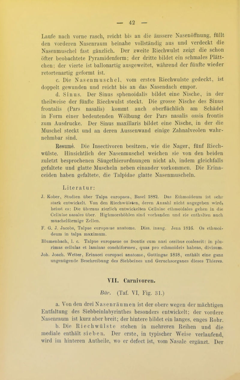Laufe nach vorne rasch, reicht bis an die äussere Nasenöftnung. füllt den vorderen Nasenraum beinahe vollständig aus und verdeckt die Nasenmuschel fast gänzlich. Der zweite Riechwulst zeigt die schon öfter beobachtete Pyramidenform; der dritte bildet ein schmales Plätt- chen; der vierte ist ballonartig ausgeweitet, während der fünfte wieder retortenartig geformt ist. c. Die NasenmuscheL vom ersten Riechwulste gedeckt, ist doppelt gewunden und reicht bis an das Nasendach empor. d. Sinus. Der Sinus sphenoidalis bildet eine Nische, in der theilweise der fünfte Riechwulst steckt. Die grosse Nische des Sinus frontalis (Pars nasalis) kommt auch oberflächlich am Schädel in Form einer bedeutenden Wölbung der Pars nasalis ossis frontis zum Ausdrucke. Der Sinus maxillaris bildet eine Nische, in der die Muschel steckt und an deren Aussenwand einige Zahnalveolen wahr- nehmbar sind. Resume. Die Insectivoren besitzen, wie die Nager, fünf Riech- wülste. Hinsichtlich der Nasenmuschel weichen sie von den beiden zuletzt besprochenen Säugethierordnungen nicht ab, indem gleichfalls gefaltete und glatte Muscheln neben einander vorkommen. Die Erina- ceiden haben gefaltete, die Talpidae glatte Nasenmuscheln. Literatur: J. Kober, Studien über Talpa europaea, Basel 1882. Das Ethmoideum ist sehr stark entwickelt. Von den Riechwüisten, deren Anzahl nicht angegeben wird? heisst es: Die überaus zierlich entwickelten Celliilae ethmoidales gehen in die Cellulae nasales über. Higlimorshöhlen sind vorhanden und sie enthalten auch muschelförmige Zellen. F. G. J. Jacobs, Talpae europai^ae anatome. Diss. inaug. Jena 1816. Os ethmoi- deum in talpa maximum. Blumenbach, 1. c. Talpae europaeae os frontis cum nasi ossibus coalescit: in plu- rimas cellulas et laminas conchiformes, quas pro ethmoideis habeas, divisum. Joh. Joach. Wetter, Erinacei europaei anatome, Gottingae 1818, enthält eine ganz ungenügende Beschreibung des Siebbeines und Geruchsorganes dieses Thieres. TU. Cariiivoreii. Bär. (Taf. VI, Fig. 31.) a. Von den drei Nasenräumen ist der obere wegen der mächtigen Entfaltung des Siebbeinlabyrinthes besonders entwickelt; der vordere Nasenraum ist kurz aber breit; der hintere bildet ein langes, enges Rohr. b. Die Riech Wülste stehen in mehreren Reihen und die mediale enthält sieben. Der erste, in typischer Weise verlaufend, wird im hinteren Antheile, wo er defect ist, vom Nasale ergänzt. Der