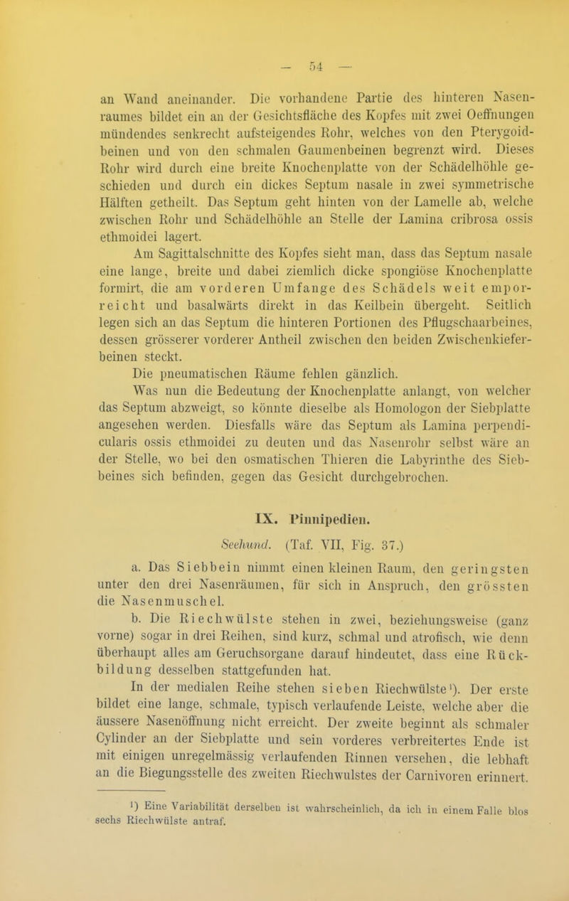 an Wand aneinander. Die vorhandene Partie des hinteren Nasen- raumes bildet ein an der Gesichtsfläche des Kopfes mit zwei Oeffnungen mündendes senkrecht aufsteigendes Rohr, welches von den Pterygoid- beinen uud von den schmalen Gaumenbeinen begrenzt wird. Dieses Rohr wird durch eine breite Knochenplatte von der Schädelhöhle ge- schieden und durch ein dickes Septiim nasale in zwei symmetrische Hälften getheilt. Das Septum geht hinten von der Lamelle ab, welche zwischen Rohr und Schädelhöhle an Stelle der Lamina cribrosa ossis ethmoidei lagert. Am Sagittalschnitte des Kopfes sieht man, dass das Septum nasale eine lange, breite und dabei ziemlich dicke spongiöse Knochenplatte formirt, die am vorderen Umfange des Schädels weit empor- reicht und basalwärts direkt in das Keilbein übergeht. Seitlich legen sich an das Septum die hinteren Portionen des Pflugschaarbeines, dessen grösserer vorderer Antheil zwischen den beiden Zwischenkiefer- beinen steckt. Die pneumatischen Räume fehlen gänzlich. Was nun die Bedeutung der Knochenplatte anlangt, von welcher das Septum abzweigt, so könnte dieselbe als Homologon der Siebplatte angesehen werden. Diesfalls wäre das Septum als Lamina perpendi- cularis ossis ethmoidei zu deuten und das Nasenrohr selbst wäre an der Stelle, wo bei den osmatischen Thieren die Labyrinthe des Sieb- beines sich befinden, gegen das Gesicht durchgebrochen. IX, Piunipedien. Seehund. (Taf. VII, Fig. 37.) a. Das Siebbein nimmt einen kleinen Raum, den geringsten unter den drei Nasenräumen, für sich in Anspruch, den grössten die Nasenmuschel. b. Die Riech Wülste stehen in zwei, beziehungsweise (ganz vorne) sogar in drei Reihen, sind kurz, schmal und atrofisch, wie denn überhaupt alles am Geruchsorgane darauf hindeutet, dass eine Rück- bildung desselben stattgefunden hat. In der medialen Reihe stehen sieben Riechwülste'). Der erste bildet eine lange, schmale, typisch verlaufende Leiste, welche aber die äussere Nasenöffnuug nicht erreicht. Der zweite beginnt als schmaler Cylinder an der Siebplatte und sein vorderes verbreitertes Ende ist mit einigen unregelmässig verlaufenden Rinnen versehen, die lebhaft an die Biegungsstelle des zweiten Riechwulstes der Carnivoren erinnert. 1) Eine Variabilität derselben ist wahrscheinlich, da ich in einem Falle blos sechs Riechwülste antraf.