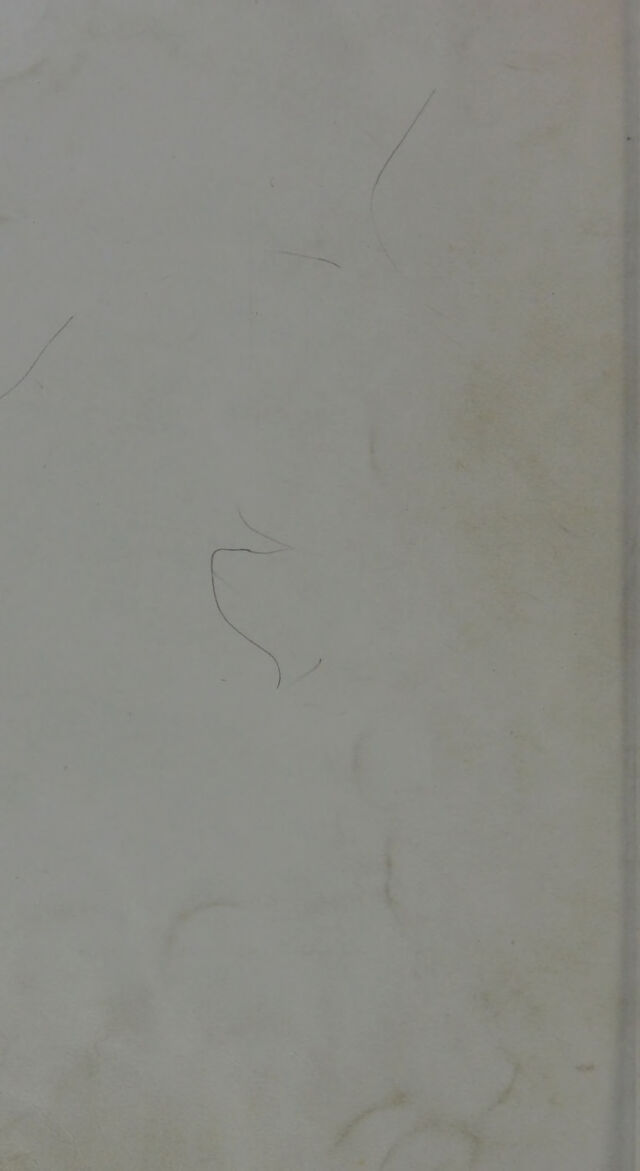 digitised image 2