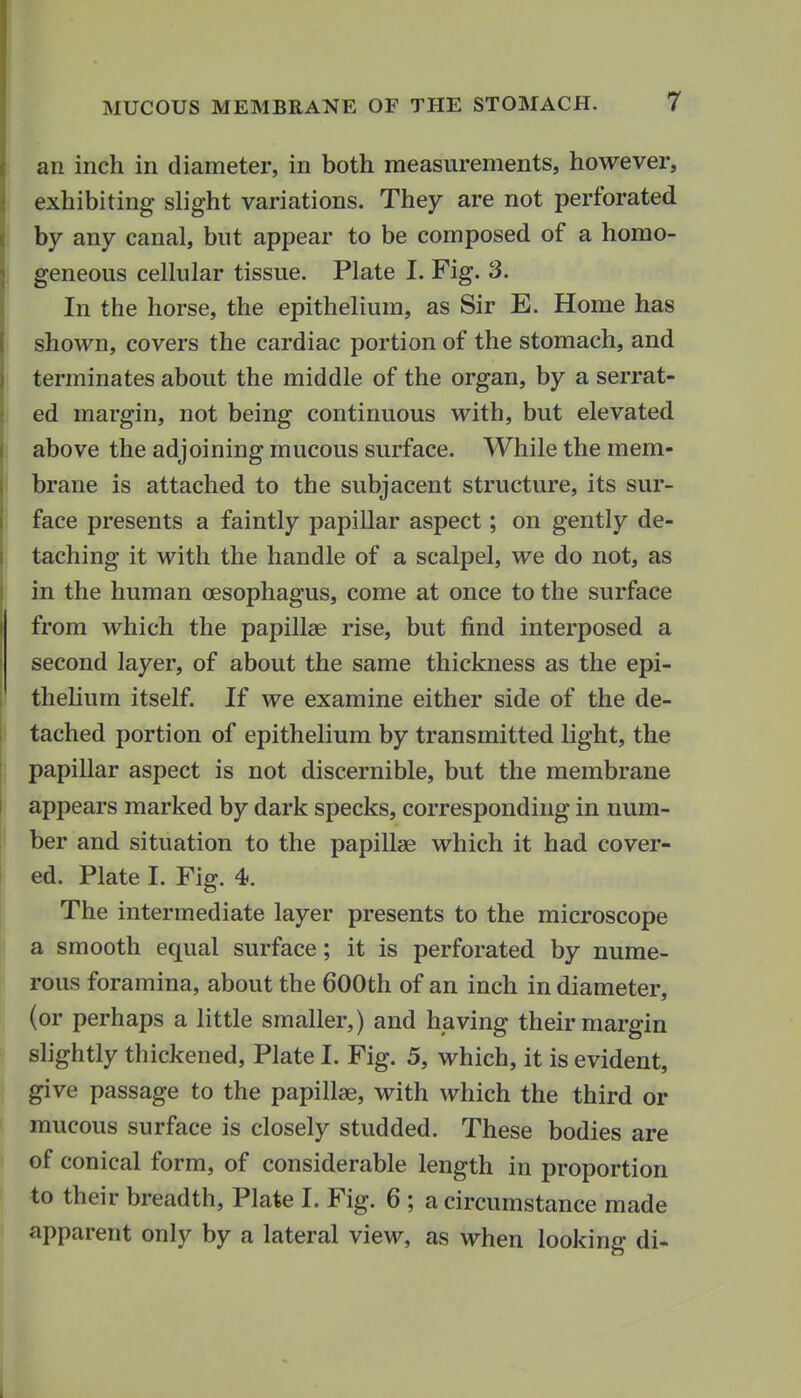 an inch in diameter, in both measurements, however, exhibiting slight variations. They are not perforated by any canal, but appear to be composed of a homo- geneous cellular tissue. Plate I. Fig. 3. In the horse, the epithelium, as Sir E. Home has shown, covers the cardiac portion of the stomach, and terminates about the middle of the organ, by a serrat- ed margin, not being continuous with, but elevated above the adjoining mucous surface. While the mem- brane is attached to the subjacent structure, its sur- face presents a faintly papillar aspect; on gently de- taching it with the handle of a scalpel, we do not, as in the human oesophagus, come at once to the surface from which the papillae rise, but find interposed a second layer, of about the same thickness as the epi- theUum itself. If we examine either side of the de- tached portion of epithelium by transmitted light, the papillar aspect is not discernible, but the membrane appears marked by dark specks, corresponding in num- ber and situation to the papillae which it had cover- ed. Plate I. Fig. 4. The intermediate layer presents to the microscope a smooth equal surface; it is perforated by nume- rous foramina, about the 600th of an inch in diameter, (or perhaps a little smaller,) and having their margin slightly thickened, Plate I. Fig. 5, which, it is evident, give passage to the papillae, with which the third or mucous surface is closely studded. These bodies are of conical form, of considerable length in proportion to their breadth, Plate I. Fig. 6 ; a circumstance made apparent only by a lateral view, as when looking di-