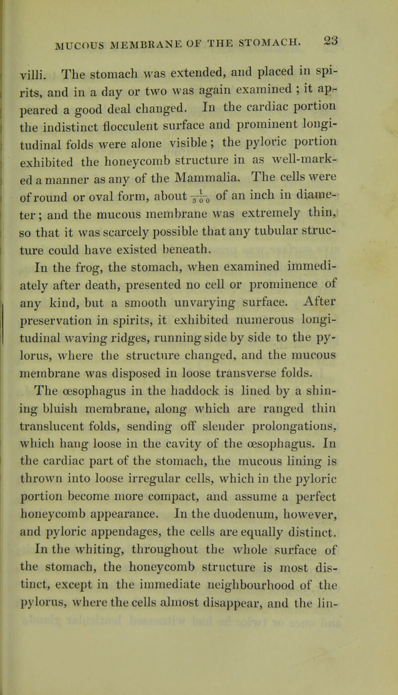 villi. The stomach was extended, and placed in spi- rits, and in a day or two was again examined ; it ap- peared a good deal changed. In the cardiac portion the indistinct flocculent surface and prominent longi- tudinal folds were alone visible; the pyloric portion exhibited the honeycomb structure in as well-mark- ed a manner as any of the Mammalia. The cells were of round or oval form, about yto o^* i^^h in diame- ter ; and the mucous membrane was extremely thin, so that it was scarcely possible that any tubular struc- ture could have existed beneath. In the frog, the stomach, when examined immedi- ately after death, presented no cell or prominence of any kind, but a smooth unvarying surface. After preservation in spirits, it exhibited numerous longi- tudinal waving ridges, running side by side to the py- lorus, where the structure changed, and the mucous membrane was disposed in loose transverse folds. The oesophagus in the haddock is lined by a shin- ing bluish membrane, along which are ranged thin translucent folds, sending off slender prolongations, which hang loose in the cavity of the oesophagus. In the cardiac part of the stomach, the mucous lining is thrown into loose irregular cells, which in the pyloric portion become more compact, and assume a perfect honeycomb appearance. In the duodenum, however, and pyloric appendages, the cells are equally distinct. In the whiting, throughout the whole surface of the stomach, the honeycomb structure is most dis- tinct, except in the immediate neighbourhood of the pylorus, where the cells almost disappear, and the lin-