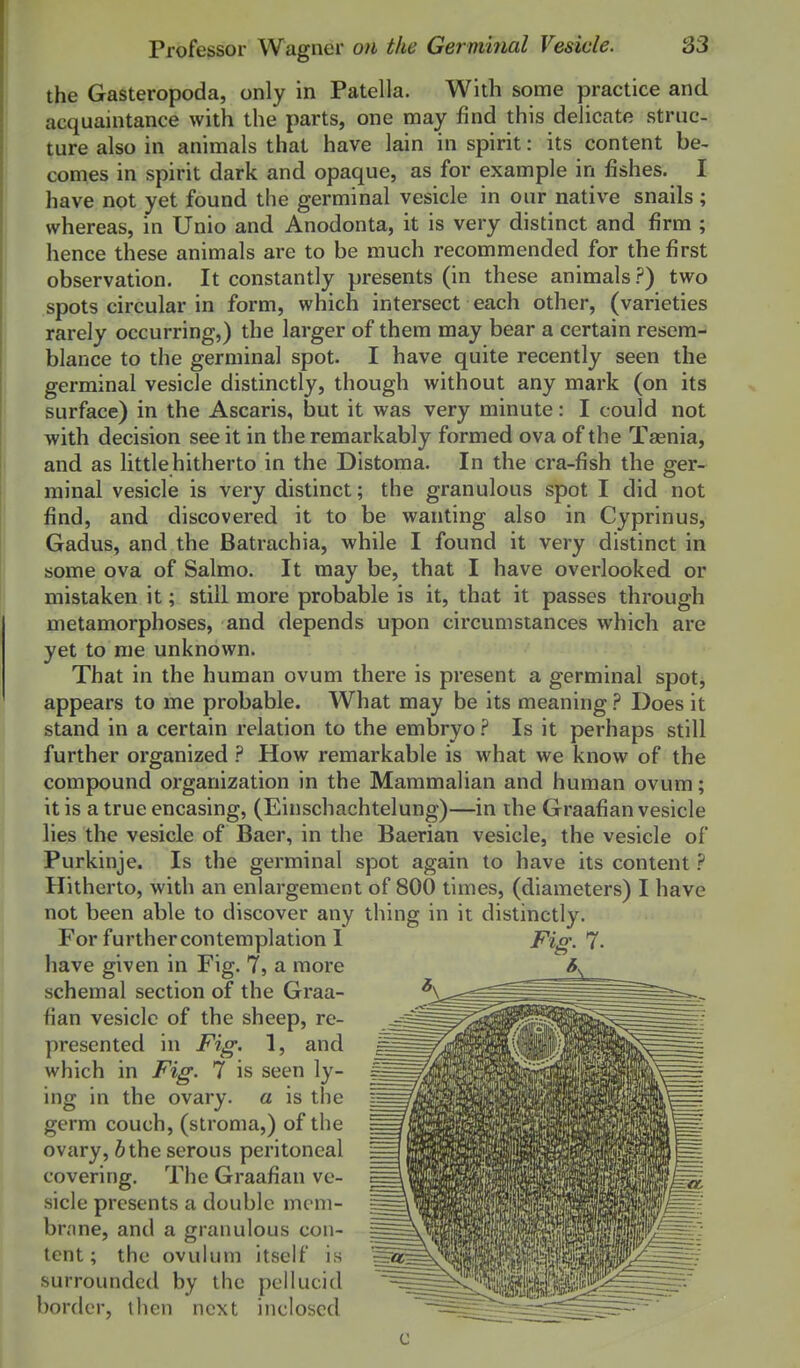 the Gasteropoda, only in Patella. With some practice and acquaintance with the parts, one may find this delicate struc- ture also in animals that have lain in spirit: its content be- comes in spirit dark and opaque, as for example in fishes. I have not yet found the germinal vesicle in our native snails ; whereas, in Unio and Anodonta, it is very distinct and firm ; hence these animals are to be much recommended for the first observation. It constantly presents (in these animals ?) two spots circular in form, which intersect each other, (varieties rarely occurring,) the larger of them may bear a certain resem- blance to the germinal spot. I have quite recently seen the germinal vesicle distinctly, though without any mark (on its surface) in the Ascaris, but it was very minute: I could not with decision see it in the remarkably formed ova of the Taenia, and as little hitherto in the Distoma. In the cra-fish the ger- minal vesicle is very distinct; the granulous spot I did not find, and discovered it to be wanting also in Cyprinus, Gadus, and the Batrachia, while I found it very distinct in some ova of Salmo. It may be, that I have overlooked or mistaken it; still more probable is it, that it passes through metamorphoses, and depends upon circumstances which are yet to me unknown. That in the human ovum there is present a germinal spot, appears to me probable. What may be its meaning ? Does it stand in a certain relation to the embryo ? Is it perhaps still further organized ? How remarkable is what we know of the compound organization in the Mammalian and human ovum; it is a true encasing, (Einschachtelung)—in the Graafian vesicle lies the vesicle of Baer, in the Baerian vesicle, the vesicle of Purkinje. Is the germinal spot again to have its content ? Hitherto, with an enlargement of 800 times, (diameters) I have not been able to discover any thing in it distinctly. For furthercontemplation 1 have given in Fig. 7, a more schemal section of the Graa- fian vesicle of the sheep, re- presented in Fig. 1, and which in Fig. 7 is seen ly- ing in the ovary, a is the germ couch, (stroma,) of the ovary, 6the serous peritoneal covering. The Graafian ve- sicle presents a double mcm- br.me, and a granulous con- tent ; the ovukun itself is surrounded by the pellucid border, then next inclosed Fig. 7.