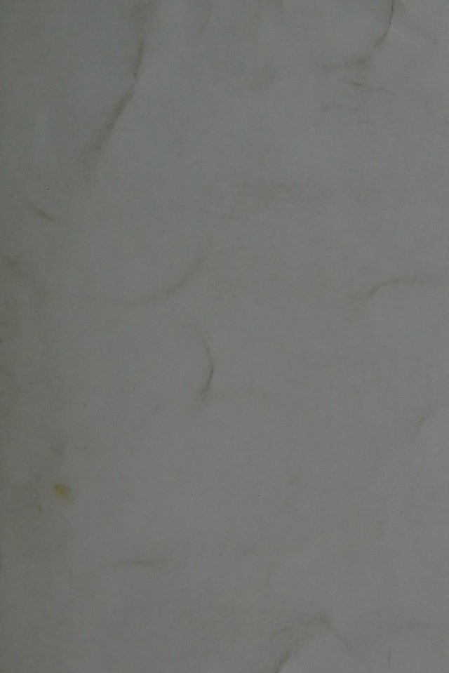 digitised image 1