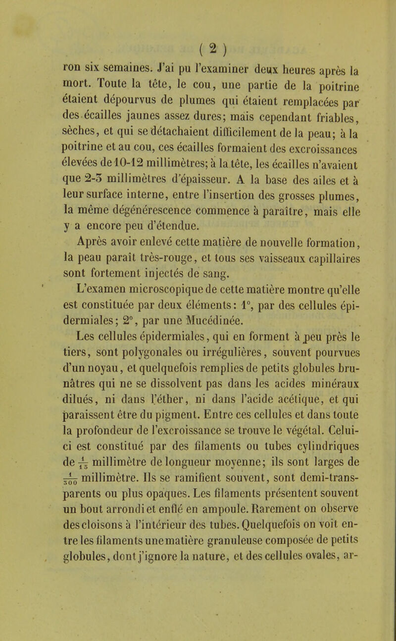 ron six semaines. J'ai pu l'examiner deux heures après la mort. Toute la tête, le cou, une partie de la poitrine étaient dépourvus de plumes qui étaient remplacées par des écailles jaunes assez dures; mais cependant friables, sèches, et qui se détachaient difficilement de la peau; à la poitrine et au cou, ces écailles formaient des excroissances élevées de 10-12 millimètres; à la tête, les écailles n'avaient que 2-5 millimètres d'épaisseur. A la base des ailes et à leur surface interne, entre l'insertion des grosses plumes, la même dégénérescence commence à paraître, mais elle y a encore peu d'étendue. Après avoir enlevé cette matière de nouvelle formation, la peau paraît très-rouge, et tous ses vaisseaux capillaires sont fortement injectés de sang. L'examen microscopique de cette matière montre qu'elle est constituée par deux éléments: 1°, par des cellules épi- dermiales; 2°, par une Mucédinée. Les cellules épidermiales, qui en forment à peu près le tiers, sont polygonales ou irrégulières, souvent pourvues d'un noyau, et quelquefois remplies de petits globules bru- nâtres qui ne se dissolvent pas dans les acides minéraux dilués, ni dans l'éther, ni dans l'acide acétique, et qui paraissent être du pigment. Entre ces cellules et dans toute la profondeur de l'excroissance se trouve le végétal. Celui- ci est constitué par des filaments ou tubes cylindriques de millimètre de longueur moyenne; ils sont larges de ■z^ millimètre. Ils se ramifient souvent, sont demi-trans- parents ou plus opaques. Les filaments présentent souvent un bout arrondi et enflé en ampoule. Rarement on observe des cloisons à l'intérieur des tubes. Quelquefois on voit en- tre les filaments une matière granuleuse composée de petits globules, dont j'ignore la nature, et des cellules ovales, ar-
