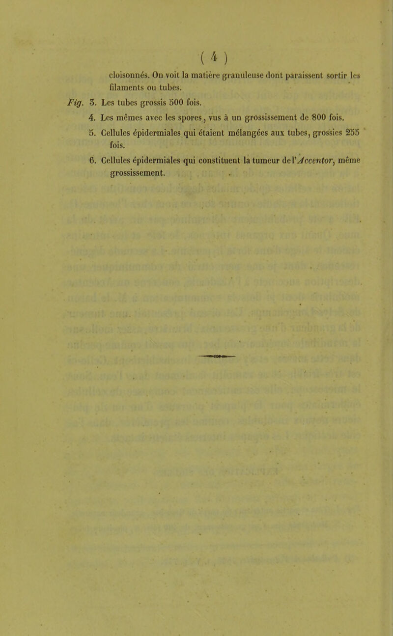 ( ) cloisonnés. On voit la matière granuleuse dont paraissent sortir les niamcnts ou tubes. Fig. o. Les tubes grossis 500 fois. 4. Les mêmes avec les spores, vus à un grossissement de 800 fols, 5. Cellules épldermiales qui étaient mélangées aux tubes, grossies 255 fois. 6. Cellules épldermiales qui constituent la tumeur del'y/ccenfor, même grossissement.