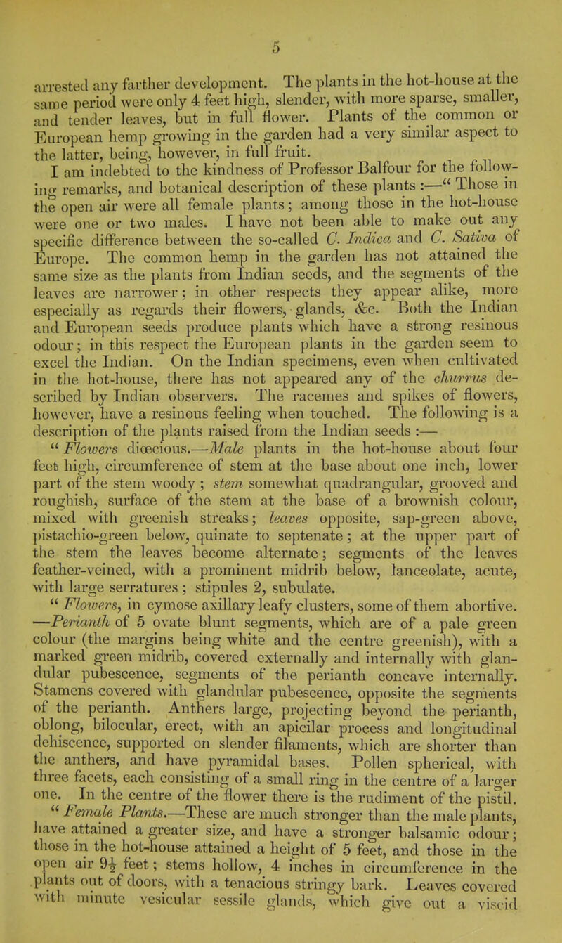 arrested any farther development. The plants in the hot-house at the same period were only 4 feet high, slender, with more sparse, smaller, and tender leaves, but in full flower. Plants of the common or European hemp growing in the garden had a very similar aspect to the latter, being, however, in full fruit. I am indebted to the kindness of Professor Balfour for the follow- ing remarks, and botanical description of these plants :— Tliose in the open air were all female plants; among those in the hot-house were one or two males. I have not been able to make out any specific difference between the so-called C. Indica and C. Sativa of Europe. The common hemp in the garden has not attained the same size as the plants from Indian seeds, and the segments of the leaves are narrower; in other respects they appear alike, more especially as regards their flowers, glands, &c. Both the Indian and European seeds produce plants which have a strong resinous odour; in this respect the European plants in the garden seem to excel the Indian. On the Indian specimens, even when cultivated in tlie hot-house, there has not appeared any of the chicrrus de- scribed by Indian observers. The racemes and spikes of flowers, however, have a resinous feeling when touched. Tlie following is a description of the plants raised from the Indian seeds :—  Flotvers dioecious.—31ale plants in the hot-house about four feet high, circumference of stem at the base about one inch, lower part of the stem woody; stem somewhat quadrangular, grooved and roughish, surface of the stem at the base of a brownish colour, mixed with greenish streaks; leaves opposite, sap-green above, ])istachio-green below, quinate to septenate; at the upper part of the stem the leaves become alternate; segments of the leaves feather-veined, with a prominent midrib below, lanceolate, acute, with large serratures ; stipules 2, subulate.  Flotvers, in cymose axillary leafy clusters, some of them abortive. —Perianth of 5 ovate blunt segments, which are of a pale green colour (the margins being white and the centre greenish), w'ith a marked green midrib, covered externally and internally with glan- dular pubescence, ^ segments of the perianth concave internally. Stamens covered with glandular pubescence, opposite the segments of the perianth. Anthers large, projecting beyond the perianth, oblong, bilocular, erect, with an apicilar process and longitudinal dehiscence, supported on slender filaments, which are shorter than the anthers, and have pyramidal bases. Pollen spherical, with three facets, each consisting of a small ring in the centre of a larger one. In the centre of the flower there is the rudiment of the pistil.  Fe^nale Plants.—These are much stronger than the male plants, have attained a greater size, and have a stronger balsamic odour; those in the hot-house attained a height of 5 feet, and those in the open air 9^ feet; stems hollow, 4 inches in circumference in the plants out of doors, with a tenacious stringy bark. Leaves covered with nunutc vesicular sessile glands, which give out a viscid