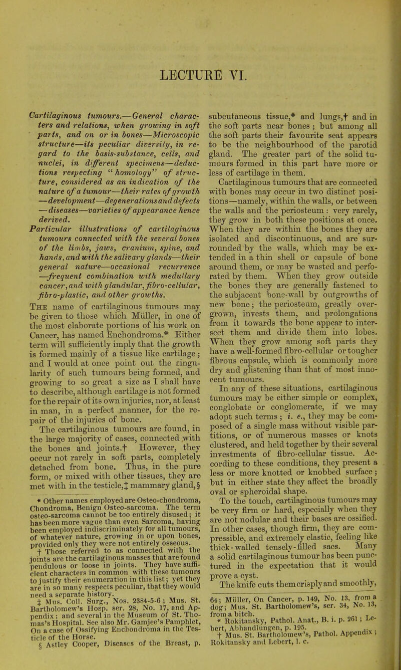LECTURE VL Cartilaginous tumours.—General charac- ters and relations, when growing in soft parts, and on or in bones—Microscopic structure—its peculiar diversity, in re- gard to the basis-substance, cells, and nuclei, in different specimens—deduc- tions respecting  homology of struc- ture, considered as an indication of the nature of a tumour—their rates of growth —development—degenerations and defects —diseases—varieties of appearance hence derived. Particular illustrations of cartilaginous tumours connected with the several bones of the limbs, jaws, cranium, spine, and hands, and with the salivary glands—their general nature—occasional recui-rence —frequent combination with medullary cancer,and with glandular, fibro-cellular, fibro-plasiic, and other growths. The name of cartilaginous tumours may be given to those which Miiller, in one of tlie most elaborate portions of his work on Cancer, has named Enchondroma.* Either term will sufficiently imply that the growth is formed mainly of a tissue like cartilage; and I would at once point out the tingu- larity of such tumours bemg formed, and growing to so great a size as I shall have to describe, although cartilage is not formed for the repair of its own injuries, nor, at least in man, in a perfect manner, for the re- pair of the injuries of bone. The cartilaginous tumom-s are found, in the large majority of cases, connected .with the bones ^nd joints.f However, they occur not rarely in soft parts, completely detached from bone. Thus, in the pure form, or mixed with other tissues, they are met with in the testicle,;J: mammary gland, § • Other names employed are Osteo-chondroma, Chondroma, Benign Osteo-sarcoma. The term osteo-sarcoma cannot be too entirely disused; it has been more vague than even Sarcoma, having been employed indiscriminately for all tumours, of whatever nature, growing in or upon bones, provided only they were not entirely osseous. t Those referred to as connected with the joints are the cjirtilaginous masses that are found pendulous or loose in joints. They have suffi- cient characters in common with these tumours to justify their enumeration in this list; yet they are in so many respects peculiar, that they would need a separate history. % Miis. Coll. Surg., Nos. 2384-5-6 ; Mus. St. Bartholomew's Hosp. ser. 28, No. )7, ond Ap- pendix ; and several in the Museum of St. Tho- mas's Hospital. See also Mr. Gamjec's Pamphlet, On a case of Ossifying Enchondroma in the Tes- ticle of the Horse. § Afctley Cooper, Diseases of the Breast, p. subcutaneous tissue,* and lungs,t and in the soft parts near bones ; but among all the soft parts their favourite seat appears to be the neighbourhood of the parotid gland. The greater part of the soUd tu- mours formed in this part have more or less of cartilage in them. Cartilaginous tumours that are connected with bones may occur in two distinct posi- tions—namely, witliin the walls, or between the walls and the periosteum : very rarely, they grow in both these positions at once. When they are within the bones they are isolated and discontinuous, and are sur- rounded by the walls, which may be ex- tended in a thin shell or capsule of bone around them, or may be wasted and perfo- rated by them. When they grow outside the bones they are generally fastened to the subjacent bone-wall by outgrowths of new bone; the periosteum, greatly over- grown, invests them, and prolongations from it towards the bone appear to inter- sect them and divide them into lobes. When they grow among soft parts they have a well-formed fibro-ceUular or tougher fibrous capsule, which is commonly more dry and glistening than that of most inno- cent tumours. In any of these situations, cartilaginous tumours may be either simple or complex, conglobate or conglomerate, if we may adopt such terms ; i. e., they may be com- posed of a single mass without visible par- titions, or of numerous masses or knots clustered, and held together by their several investments of fibro-ceUular tissue. Ac- cording to these conditions, they present a less or more knotted or knobbed surface ; but in either state they affect the broadly oval or spheroidal shape. To the touch, cartilaginous tumours may be very firm or hard, especially when they are not nodular and their bases are ossified. In other cases, though firm, they are com- pressible, and extremely elastic, feeling like thick-walled tensely-filled sacs. Many a sohd cartilagmous tumour has been punc- tured in the expectation that it would prove a cyst. The knife cuts them crisply and smoothly, 64; Miiller, On Cancer, p. 149, No. J3, from a dog; Mus. St. Bartholomew's, ser. 34, No. u, from a bitch. „ . „., i„ * Hokitansky, Pathol. Anat., B. i. p. 261 ; he- bert, AUhandlungen, p. 195. , t Mus. St. Bartholomew's, Pathol. Appendix , Rokltansky and Lebert, 1. c.