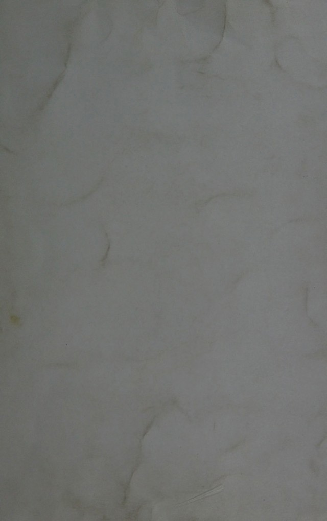 digitised image 1