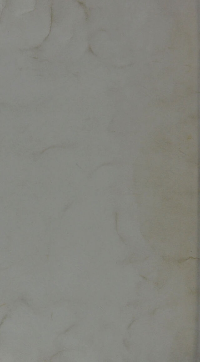 digitised image 2