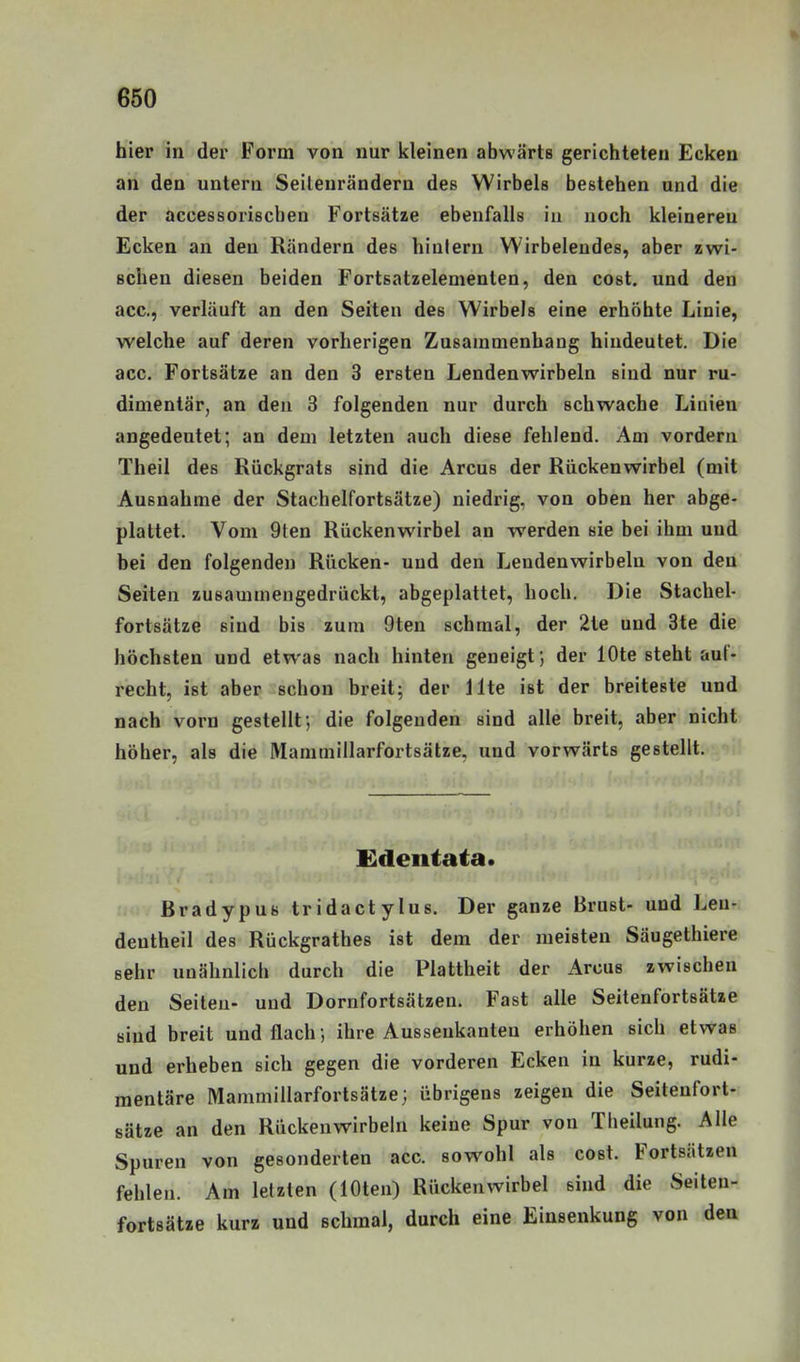 hier in der Form von nur kleinen abwärts gerichteten Ecken an den untern Seilenrändern des Wirbels bestehen und die der accessoriscben Fortsätze ebenfalls iu noch kleinereu Ecken an den Rändern des hinlern Wirbelendes, aber zwi- Bchen diesen beiden Fortsatzelementen, den cost. und den acc, verläuft an den Seiten des Wirbels eine erhöhte Linie, welche auf deren vorherigen Zusammenhang hindeutet. Die acc. Fortsätze an den 3 ersten Lendenwirbeln sind nur ru- dimentär, an den 3 folgenden nur durch schwache Linien angedeutet; an dem letzten auch diese fehlend. Am vordem Theil des Rückgrats sind die Arcus der Rückenwirbel (mit Ausnahme der Stachelfortsätze) niedrig, von oben her abge- plattet. Vom 9ten Rückenwirbel an werden sie bei ihm und bei den folgenden Rücken- und den Lendenwirbeln von den Seiten zusammengedrückt, abgeplattet, hoch. Die Stachel- fortsätze sind bis zum 9ten schmal, der 2te und 3te die höchsten und etwas nach hinten geneigt; der lOte steht auf- recht, ist aber schon breit; der Ute ist der breiteste und nach voi'u gestellt; die folgenden sind alle breit, aber nicht höher, als die Mammillarfortsätze, und vorwärts gestellt. £deiitata. Bradypus tridactylus. Der ganze Brust- und Len- dentheil des Rückgrathes ist dem der meisten Säugethiere sehr unähnlich durch die Plattheit der Arcus zwischen den Seiten- und Dornfortsätzen. Fast alle Seitenfortsätze sind breit und flach; ihre Aussenkanten erhöhen sich etwas und erheben sich gegen die vorderen Ecken in kurze, rudi- mentäre Mammillarfortsätze; übrigens zeigen die Seitenfort- sätze an den Rückenwirbeln keine Spur von Theilung. Alle Spuren von gesonderten acc. sowohl als cost. Fortsätzen fehlen. Am letzten (lOten) Rückenwirbel sind die Seiten- fortsätze kurz und schmal, durch eine Einsenkung von den