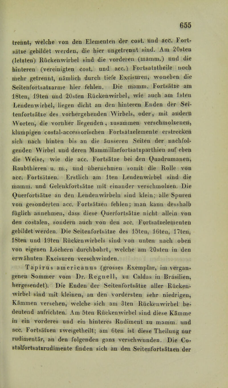 trennt, welche von den Elementen der cost. und acc. Fort- sätze gebildet weiden, die hier ungetrennt sind. Am 20sten (letzten) Rückenwirbel sind die vorderen (mamni.) und die hinteren (vereinigten cost. und acc.) Fortsatztheile noch mehr getrennt, nämlich durch tiefe Excisuren, woneben die Seitenfortsatzarme hier fehlen. Die mamm. Fortsätze am 18ten, 19ten und 20sten Rückenwirbel, wie auch am Isten Lendenwirbel, liegen dicht an den hinteren Enden der Sei- tenfortsätze des vorhergehenden Wirbels, oder, mit andern Worten, die vorüber liegenden , zusammen verschmolzenen, klumpigen costal-accessorischen Fortsatzelemente erstrecken sich nach hinten bis an die äusseren Seiten der nachfol- genden Wirbel und deren Mammillarfortsatzparthien auf eben die Weise, wie die acc. Fortsätze bei den Ouadrumanen, Raubthieren u. m., und übernehmen somit die Rolle von acc. Fortsätzen. Erstlich am Iten Lendenwirbel sind die mamm. und Gelenkfortsätze mit einander verschmolzen. Die Querfortsätze an den Lendenwirbeln sind klein; alle Spuren von gesonderten acc. Fortsätzen fehlen; man kann desshalb füglich annehmen, dass diese Querfortsätze nicht allein von den costalen, sondern auch von den acc. Fortsatzelementen gebildet werden. Die Seitenfortsatze des löten, 16ten, 17ten, 18ten und 19ten Rückenwirbels sind von unten nach oben von eigenen Löchern durchbohrt, welche am 20sten in den erwähnten Excisuren verschwinden. Tapirus americanus (grosses Exemplar, im vergan- genen Sommer vom Dr. Regneil, zu Caldas in Brasilien, hergesendet). Die Enden der Seitenfortsätze aller Rücken- wirbel sind mit kleinen, an den vordersten sehr niedrigen, Kämmen versehen, welche sich am 3ten Rückenwirbel be- deutend aufrichten. Am 5ten Rückenwirbel sind diese Kämme in ein vorderes und ein hinteres Rudiment zu mamm. und acc, Forlsätzen zweigelheilt; am 6ten ist diese Theilung nur rudimentär, an den folgenden ganz verschwunden. Die Co- stalfortsatzrudimeute finden sich an den Seitenfortsätzen der