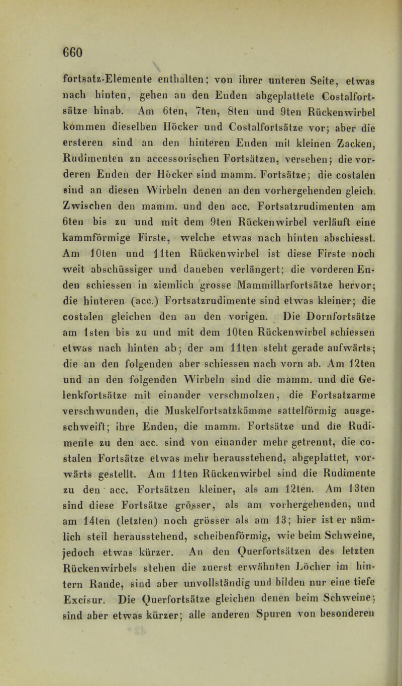 fortsatz-Elemente enlliallen; von ihrer unleren Seite, etwas nach hinten, gehen an den Enden abgeplattete Costalfort- sätze hinab. Am 6ten, 7ten, 8ten und 9ten Rückenwirbel kommen dieselben Höcker und Costalforlsätze vor; aber die ersteren sind an den hinteren Enden mil kleinen Zacken, Rudimenten zu accessorischen Fortsätzen, versehen; die vor- deren Enden der Höcker sind mamm. Fortsätze; die costalen sind an diesen Wirbeln denen an den vorhergehenden gleich. Zwischen den mamm. und den acc. Fortsatzrudimenten am 6ten bis zu und mit dem 9ten Rückenwirbel verläuft eine kammförmige Firste, welche etwas nach hinten abschiesst. Am lOten und j Iten Rückenwirbel ist diese Firste noch weit abschüssiger und daneben verlängert; die vorderen En- den schiessen in ziemlich grosse Mammillarfortsätze hervor; die hinteren (acc.) Fortsatzrudimente sind etwas kleiner; die costalen gleichen den au den vorigen. Die Dornfortsätze am Isten bis zu und mit dem lOten Rückenwirbel schiessen etwas nach hinten ab; der am Ilten steht gerade aufwärts; die an den folgenden aber schiessen nach vorn ab. Am 12ten und an den folgenden Wirbeln sind die mamm, und die Ge- lenkfortsälze mit einander verschmolzen, die Fortsatzarme verschwunden, die Muskelfortsatzkämme sattelförmig ausge- schweift; ihre Enden, die mamm. Fortsätze und die Rudi- mente zu den acc. sind von einander mehr getrennt, die co- stalen Fortsätze etwas mehr herausstehend, abgeplattet, vor- wärts gestellt. Am Ilten Rückenwirbel sind die Rudimente zu den acc. Fortsätzen kleiner, als am 12len. Am 13ten sind diese Fortsätze grösser, als am vorhergehenden, und am 14len (letzten) noch grösser als am 13; hier ist er näm- lich steil herausstehend, scheibenförmig, wie beim Schweine, jedoch etwas kürzer. An den Querfortsätzen des letzten Rückenwirbels stehen die zuerst erwähnten Löcher im hin- tern Rande, sind aber unvollständig untl bilden nur eine tiefe Excisur. Die Querforlsätze gleichen denen beim Schweine; sind aber etwas kürzer; alle anderen Spuren von besonderen