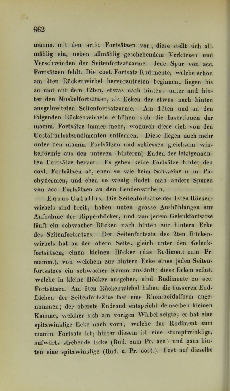 mamm. mit den artic. Fortsätzen vor; diese stellt sich all- mählig ein, neben allmählig geschehendem Verkürzen und Verschwinden der Seitenfortsatzarme. Jede Spur von acc. Fortsätzen fehlt. Die cost. Fortsatz-Rudimente, welche schon am 2ten Rückenwirbel hervorzutreten beginnen, liegen bis zu und mit dem 12ten, etwas nach hinten, unter und hin- ter den Muskelfortsätzeu, als Ecken der etwas nach hinten ausgebreiteten Seitenfortsatzarme. Am 13ten und an den folgenden Rückenwirbeln erhöhen sich die Insertionen der mamm. Fortsätze immer mehr, wodurch diese sich von den Costalfortsatzrudimenten entfernen. Diese liegen auch mehr unter den mamm. Fortsätzen und schiessen gleichsam win- kelförmig aus den unteren (hintereu) Enden der letztgenann- ten Fortsätze hervor. Es gehen keine Fortsätze hinter den cost. Fortsätzen ab, eben so wie beim Schweine u. m. Pa- chydermen, und eben so wenig findet man andere Spuren von acc. Fortsätzen an den Lendenwirbeln. EquusCaballus. Die Seitenfortsätze des Isten Rücken- wirbels sind breit, haben unten grosse Aushöhlungen zur Aufnahme der Rippenhöcker, und von jedem Gelenkfortsatze läuft ein schwacher Rücken nach hinten zur hintern Ecke des Seitenfortsatzes. Der Seitenfortsatz des 2ten Rücken- wirbels hat an der obern Seite, gleich unter den Gelenk- fortsätzen, einen kleinen Höcker (das Rudiment zum Pr. mamm.), von welchem zur hintern Ecke eines jeden Seiten- fortsatzes ein schwacher Kamm ausläuft; diese Ecken selbst, welche in kleine Höcker ausgehen, sind Rudimente zu acc. Fortsätzen. Am 3ten Rückenwirbel haben die äusseren End- flächen der Seitenfortsätze fast eine Rhomboidalform ange- nommen; der oberste Endrand entspricht demselben kleinen Kamme, welcher sich am vorigen Wirbel zeigte; er hat eine spitzwinklige Ecke nach vorn, welche das Rudiment zum mamm. Fortsatz ist; hinter diesem ist eine stumpfwinklige, aufwärts strebende Ecke (Rud. zum Pr. acc.) und ganz hin- ten eine spitzwinklige (Rud. z. Pr. cost.). Fast auf dieselbe