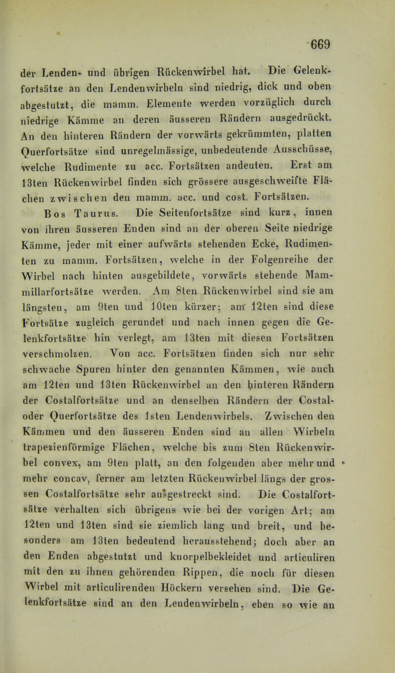 der Lenden- und übrigen Rückenwirbel hat. Die Gelenk- fortsätze an den Lendenwirbeln sind niedrig, dick und oben abgestutzt, die mamin. Elemente werden vorzüglich durch niedrige Kämme an deren äusseren Rändern ausgedrückt. An den hinteren Rändern der vorwärts gekrümmten, platten Ouerfortsätze sind unregelmässige, unbedeutende Ausschüsse, welche Rudimeute zu acc. Fortsätzen andeuten. Erst am 13ten Rückenwirbel finden sich grössere ausgeschweifte Flä- chen zwischen den mamm. acc. und cost. Fortsätzen. Bo8 Taurus. Die Seitenfortsätze sind kurz, innen von ihren äusseren Enden sind an der oberen Seite niedrige Kämme, jeder mit einer aufwärts stehenden Ecke, Rudimen- ten zu mamra. Fortsätzen, welche in der Folgenreihe der Wirbel nach hinten ausgebildete, vorwärts stehende Mam- millarfortsätze werden. Am 8ten Rückenwirbel sind sie am längsten, am 9ten und lOten kürzer; am 12ten sind diese Fortsätze zugleich gerundet und nach innen gegen die Ge- lenkfortsätze hin verlegt, am 13ten mit diesen Fortsätzen verschmolzen. Von acc. Fortsätzen finden sich nur sehr schwache Spuren hinter den genannten Kämmen, wie auch am 12ten und 13ten Rückenwirbel an den hinteren Rändern der Costalfortsätze und an denselben Rändern der Costal- oder Querfortsätze des Isten Lendenvfirbels. Zwischen den Kämmen und den äusseren Enden sind an allen Wirbeln trapezienförmige Flächen, welche bis zum 8ten Rückenwir- bel convex, am 9ten platt, an den folgenden aber mehr und * mehr concav, ferner am letzten Rückenwirbel längs der gros- sen Costalfortsätze sehr ausgestreckt sind. Die Costalfort- sätze verhalten sich übrigens wie bei der vorigen Art; am 12ten und 13ten sind sie ziemlich lang und breit, und be- sonders am 13ten bedeutend herausstehend; doch aber an den Enden abgestutzt und knorpelbekleidet und articuhren mit den zu ihnen gehörenden Rippen, die noch für diesen Wirbel mit arliculirenden Höckern versehen sind. Die Ge- lenkfortsätze sind an den Lendenwirbeln, eben so wie an