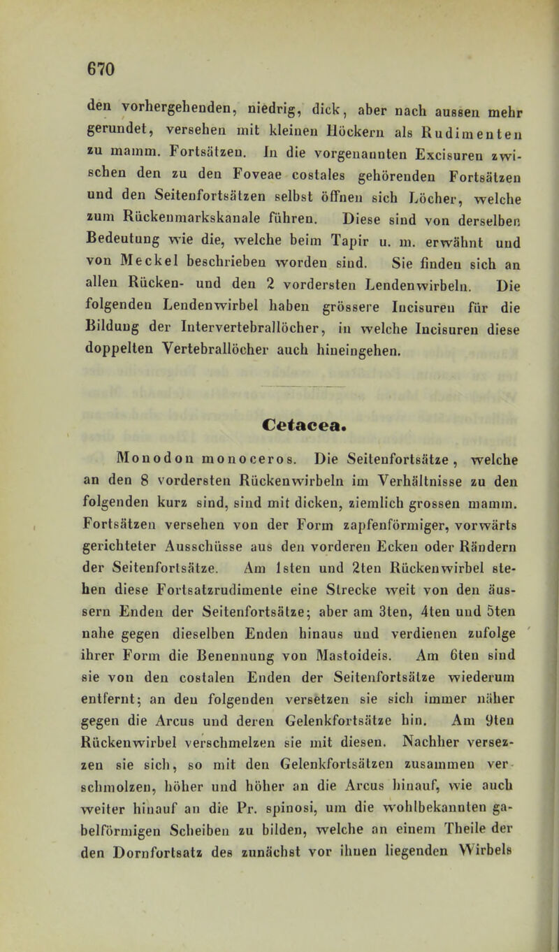 den vorhergehenden, niedrig, dick, aber nach aussen mehr gerundet, versehen mit kleinen Höckern als Rudimenten tn mamm. Fortsätzen. In die vorgenannten Excisuren zwi- schen den zu den Foveae costales gehörenden Fortsätzen und den Seitenfortsätzen selbst öffnen sich Löcher, welche zum Rückenmarkskanale führen. Diese sind von derselben Bedeutung wie die, welche beim Tapir u. m. erwähnt und von Meckel beschrieben worden sind. Sie finden sich an allen Rücken- und den 2 vordersten Lendenwirbeln. Die folgenden Lendenwirbel haben grössere lucisureu für die Bildung der Intervertebrallöcher, in welche Incisuren diese doppelten Vertebrallöcher auch hineingehen. Cetacea. Monodon monoceros. Die Seitenfortsätze, welche an den 8 vordersten Rückenwirbeln im Verhältnisse zu den folgenden kurz sind, sind mit dicken, ziemlich grossen mamm. Fortsätzen versehen von der Form zapfenförmiger, vorwärts gerichteter Ausschüsse aus den vorderen Ecken oder Rändern der Seitenforlsätze. Am Isten und 2ten Rückenwirbel ste- hen diese Fortsatzrudimente eine Strecke weit von den äus- sern Enden der Seitenfortsätze; aber am 3ten, 4ten und 5ten nahe gegen dieselben Enden hinaus und verdienen zufolge ihrer Form die Benennung von Mastoideis. Am 6ten sind sie von den costalen Enden der Seiteufortsätze wiederum entfernt; an den folgenden versetzen sie sich immer näher gegen die Arcus und deren Gelenkfortsätze hin. Am 9ten Rückenwirbel verschmelzen sie mit diesen. Nachher versez- zen sie sich, so mit den Gelenkfortsätzen zusammen ver schmolzen, höher und höher an die Arcus hinauf, wie auch weiter hinauf an die Pr. spinosi, um die wohlbekannten ga- belförmigen Scheiben zu bilden, welche an einem Theile der den Dornfortsatz des zunächst vor ihuen liegenden Wirbels