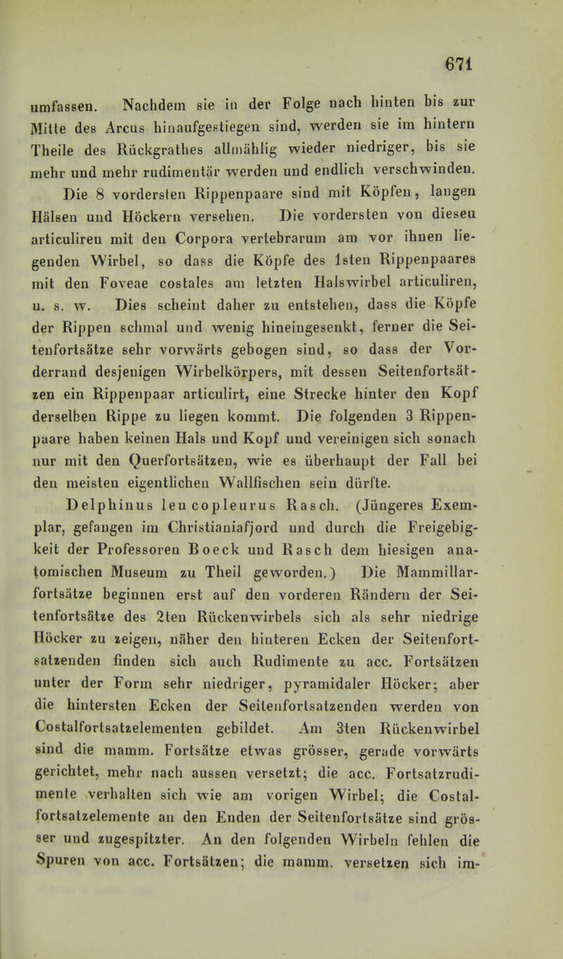 umfassen. Nachdem sie in der Folge nach hinten bis zur Mille des Arcus hinaufgestiegen sind, werden sie im hintern Theile des Rückgrathes aUmählig wieder niedriger, bis sie mehr und mehr rudimentär werden und endlich verschwinden. Die 8 vordersten Rippenpaare sind mit Köpfen, langen Hälsen und Höckern versehen. Die vordersten von diesen articuliren mit den Corpora vertebrarum am vor ihnen lie- genden Wirbel, so dass die Köpfe des Isten Rippenpaares mit den Foveae costales am letzten Halswirbel articuliren, u. s. w. Dies scheint daher zu entstehen, dass die Köpfe der Rippen schmal und wenig hineingesenkt, ferner die Sei- tenfortsätze sehr vorwärts gebogen sind, so dass der Vor- derrand desjenigen Wirbelkörpers, mit dessen Seitenfortsät- zen ein Rippenpaar articulirt, eine Strecke hinter den Kopf derselben Rippe zu liegen kommt. Die folgenden 3 Rippen- puare haben keinen Hals und Kopf und vereinigen sich sonach nur mit den Querfortsätzen, wie es überhaupt der Fall bei den meisten eigentlichen Wallfischen sein dürfte. Delphinus leucopleurus Rasch. (Jüngeres Exem- plar, gefangen im Christianiafjord und durch die Freigebig- keit der Professoren Boeck und Rasch dem hiesigen ana- tomischen Museum zu Theil geworden.) Die Mammillar- fortsätze beginnen erst auf den vorderen Rändern der Sei- tenfortsätze des 2ten Rückenwirbels sich als sehr niedrig« Höcker zu zeigen, näher den hinteren Ecken der Seitenfort- satzenden finden sich auch Rudimente zu acc. Fortsätzen unter der Form sehr niedriger, pyramidaler Höcker; aber die hintersten Ecken der Seilenfortsatzenden werden von Costalfortsatzelementen gebildet. Am 3ten Rückenwirbel sind die mamm. Forlsätze etwas grösser, gerade vorwärts gerichtet, mehr nach aussen versetzt; die acc. Fortsatzrudi- menle verhallen sich wie am vorigen Wirbel; die Costal- forlBalzelemenle an den Enden der Seitenfortsätze sind grös- ser und zugespitzter. An den folgenden Wirbeln fehlen die Spuren von acc. Fortsätzen; die mamm. versetzen sich ira-