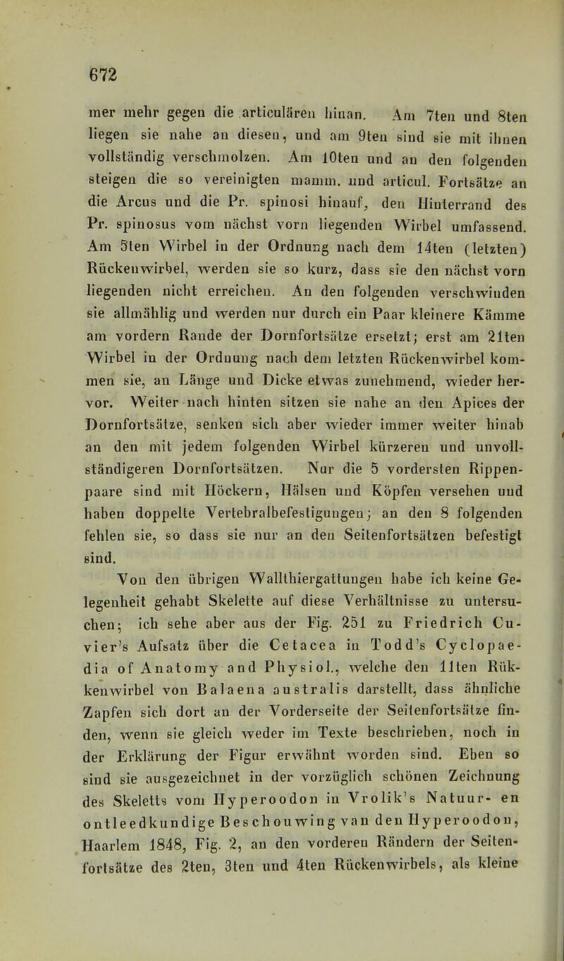 mer mehr gegen die articulären hinan. Am 7ten und 8ten liegen sie nahe an diesen, und am 9ten sind sie mit ihnen vollständig verschmolzen. Am lOten und an den folgenden steigen die so vereinigten mamm. und articul. Fortsätze an die Arcus und die Pr. spinosi hinauf, den Hinterrand des Pr. spinosus vom nächst vorn liegenden Wirbel umfassend. Am 5len Wirbel in der Ordnung nach dem 14ten (letzten) Rückenwirbel, werden sie so kurz, dass sie den nächst vorn liegenden nicht erreichen. An den folgenden verschwinden sie allmählig und werden nur durch ein Paar kleinere Kämme am vordem Rande der Dornfortsälze ersetzt; erst am 21ten Wirbel in der Ordnung nach dem letzten Rückenwirbel kom- men sie, an Länge und Dicke etwas zunehmend, wieder her- vor. Weiter nach hinten sitzen sie nahe an den Apices der Dornfortsälze, senken sich aber wieder immer weiter hinab an den mit jedem folgenden Wirbel kürzeren und unvoll- ständigeren Dornfortsätzen. Nur die 5 vordersten Rippen- paare sind mit Höckern, Hälsen und Köpfen versehen und haben doppelle Vertebralbefestigungen; an den 8 folgenden fehlen sie, so dass sie nur an den Seilenfortsätzen befestigt sind. Von den übrigen Walllhiergatlungen habe ich keine Ge- legenheit gehabt Skelette auf diese Verhältnisse zu untersu- chen; ich sehe aber aus der Fig. 251 zu Friedrich Cu- vier's Aufsatz über die Cetacea in Todd's Cyclopae- dia of Anatomy and Physiol., welche den Ilten Rük- kenwirbel von Balaena australis darstellt, dass ähnliche Zapfen sich dort an der Vorderseite der Seitenfortsälze fin- den, wenn sie gleich weder im Texte beschrieben, noch in der Erklärung der Figur erwähnt worden sind. Eben so sind sie ausgezeichnet in der vorzüglich schönen Zeichnung des Skeletts vom Hyperoodon in Vrolik's Natuur- en ontleedkundigeBeschouwingvandenHyperoodon, Haarlem 1848, Fig. 2, an den vorderen Rändern der Seilen- fortsätze des 2ten, 3ten und 4ten Rückenwirbels, als kleine