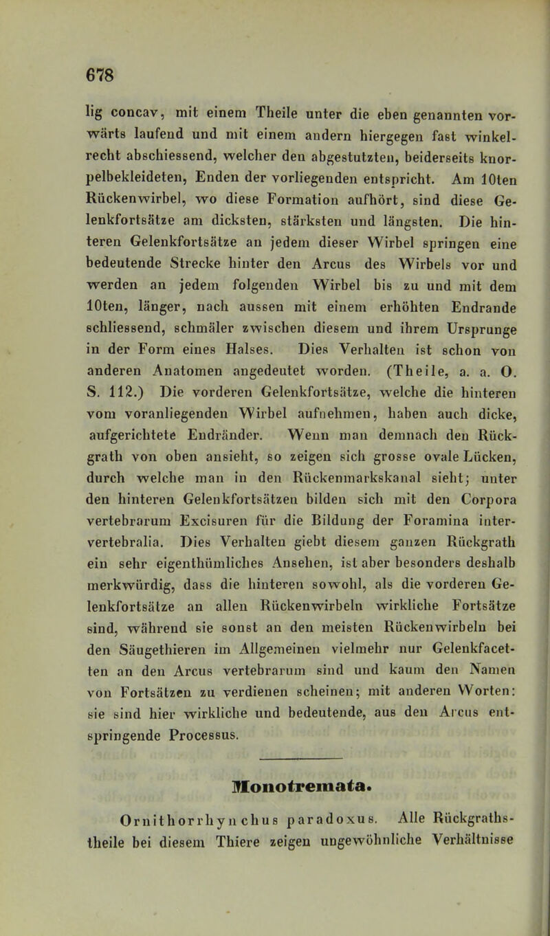 lig concav, mit einem Theile unter die eben genannten vor- wärts laufend und mit einem andern hiergegen fast winkel- recht abschiessend, welcher den abgestutzten, beiderseits knor- pelbekleideten, Enden der vorliegenden entspricht. Am lOten Rückenwirbel, wo diese Formation aufhört, sind diese Ge- lenkfortsätze am dicksten, stärksten und längsten. Die hin- teren Gelenkfortsätze an jedem dieser Wirbel springen eine bedeutende Strecke hinter den Arcus des Wirbels vor und werden an jedem folgenden Wirbel bis zu und mit dem loten, länger, nach aussen mit einem erhöhten Endrande schliessend, schmäler zwischen diesem und ihrem Ursprünge in der Form eines Halses. Dies Verhalten ist schon von anderen Anatomen angedeutet worden. (Theile, a. a. 0. S. 112.) Die vorderen Gelenkfortsätze, welche die hinteren vom voranliegenden Wirbel aufnehmen, haben auch dicke, aufgerichtete Endränder. Wenn man demnach den Rück- grath von oben ansieht, so zeigen sich grosse ovale Lücken, durch welche man in den Rückenmarkskanal sieht; unter den hinteren Gelenkfortsätzen bilden sich mit den Corpora vertebrarum Excisuren für die Bildung der Foramina inter- vertebralia. Dies Verhalten giebt diesem ganzen Rückgrath ein sehr eigenthümliches Ansehen, ist aber besonders deshalb merkwürdig, dass die hinteren sowohl, als die vorderen Ge- lenkfortsätze an allen Rückenwirbeln wirkliche Fortsätze sind, während sie sonst an den meisten Rückenwirbeln bei den Säugethieren im Allgemeinen vielmehr nur Gelenkfacet- ten an den Arcus vertebrarum sind und kaum den Namen von Fortsätzen zu verdienen scheinen; mit anderen Worten: sie sind hier wirkliche und bedeutende, aus den Arcus ent- springende Processus. lüonotremata. Ornithorrhyn chus paradoxus. Alle Rückgraths- theile bei diesem Thiere zeigen ungewöhnliche Verhältnisse