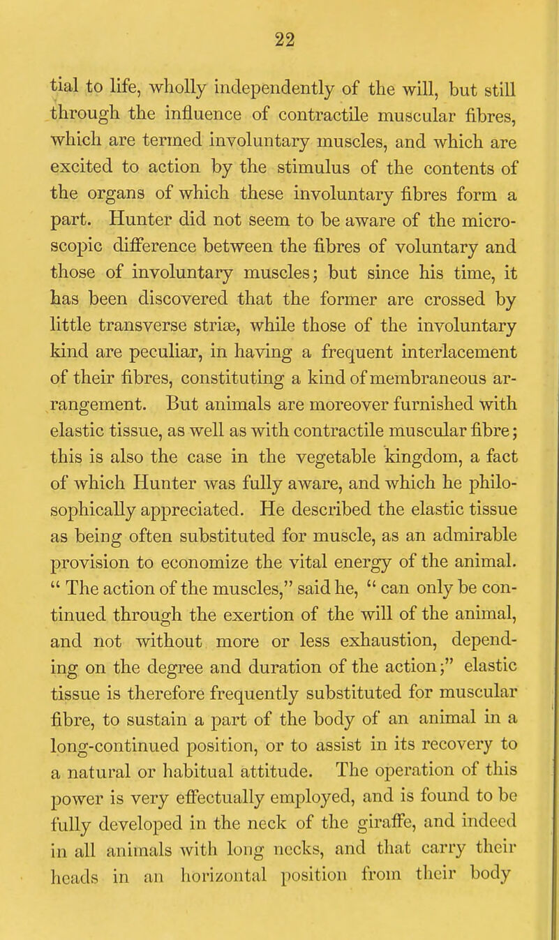 tial to life, wholly independently of the will, but still through the influence of contractile muscular fibres, which are termed involuntary muscles, and which are excited to action by the stimulus of the contents of the organs of which these involuntary fibres form a part. Hunter did not seem to be aware of the micro- scopic difference between the fibres of voluntary and those of involuntary muscles; but since his time, it has been discovered that the former are crossed by little transverse strise, while those of the involuntary kind are peculiar, in having a frequent interlacement of their fibres, constituting a kind of membraneous ar- rangement. But animals are moreover furnished with elastic tissue, as well as with contractile muscular fibre; this is also the case in the vegetable kingdom, a fact of which Hunter was fully aware, and which he philo- sophically appreciated. He described the elastic tissue as being often substituted for muscle, as an admirable provision to economize the vital energy of the animal.  The action of the muscles, said he,  can only be con- tinued through the exertion of the will of the animal, and not without more or less exhaustion, depend- ing on the degree and duration of the action; elastic tissue is therefore frequently substituted for muscular fibre, to sustain a part of the body of an animal in a long-continued position, or to assist in its recovery to a natural or habitual attitude. The operation of this power is very effectually employed, and is found to be fully developed in the neck of the giraffe, and indeed in all animals with long necks, and that carry their heads in an horizontal position from their body