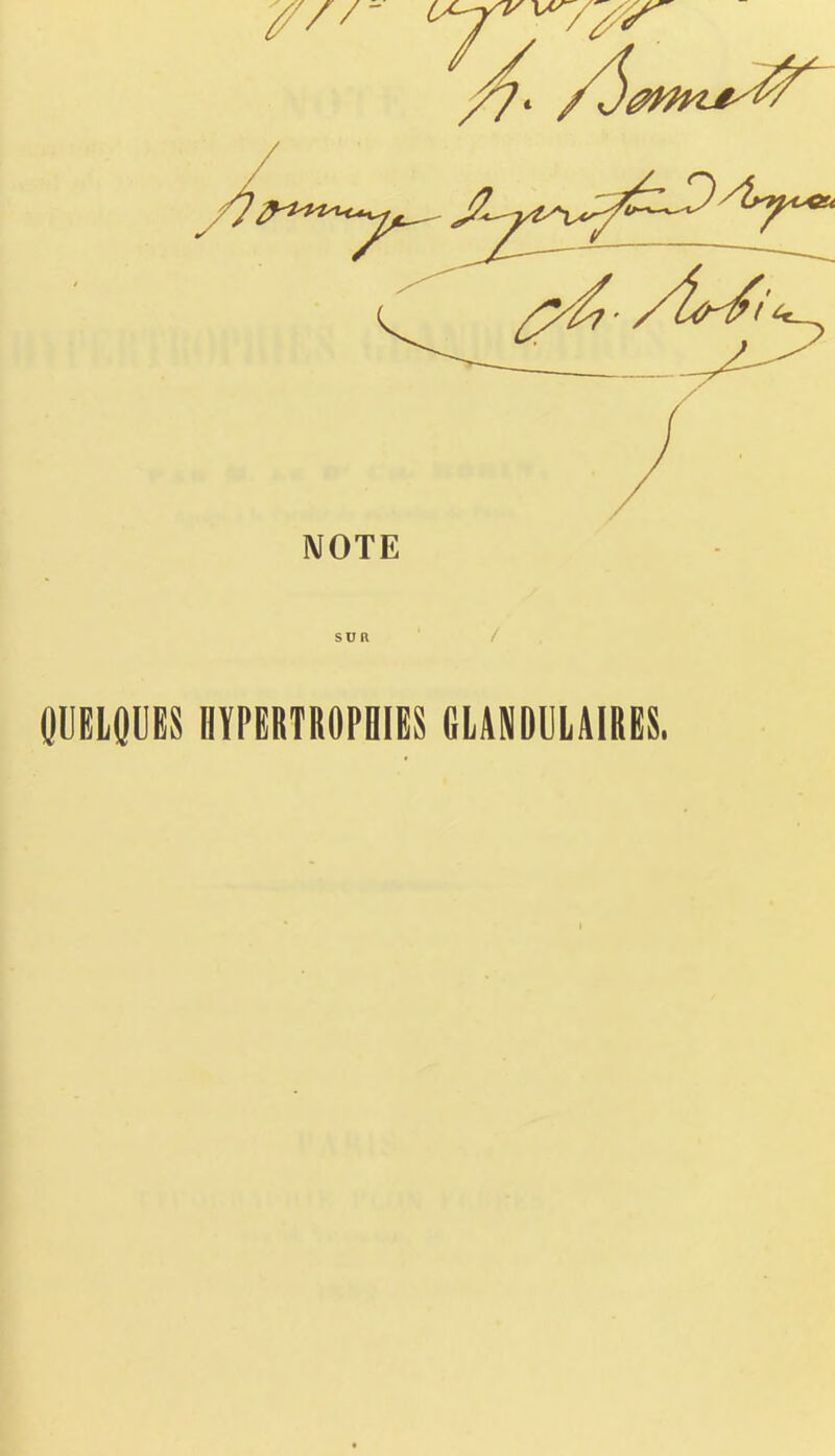 SUR QUELQUeS HYPERTROPBieS GLANDUIMRËS.