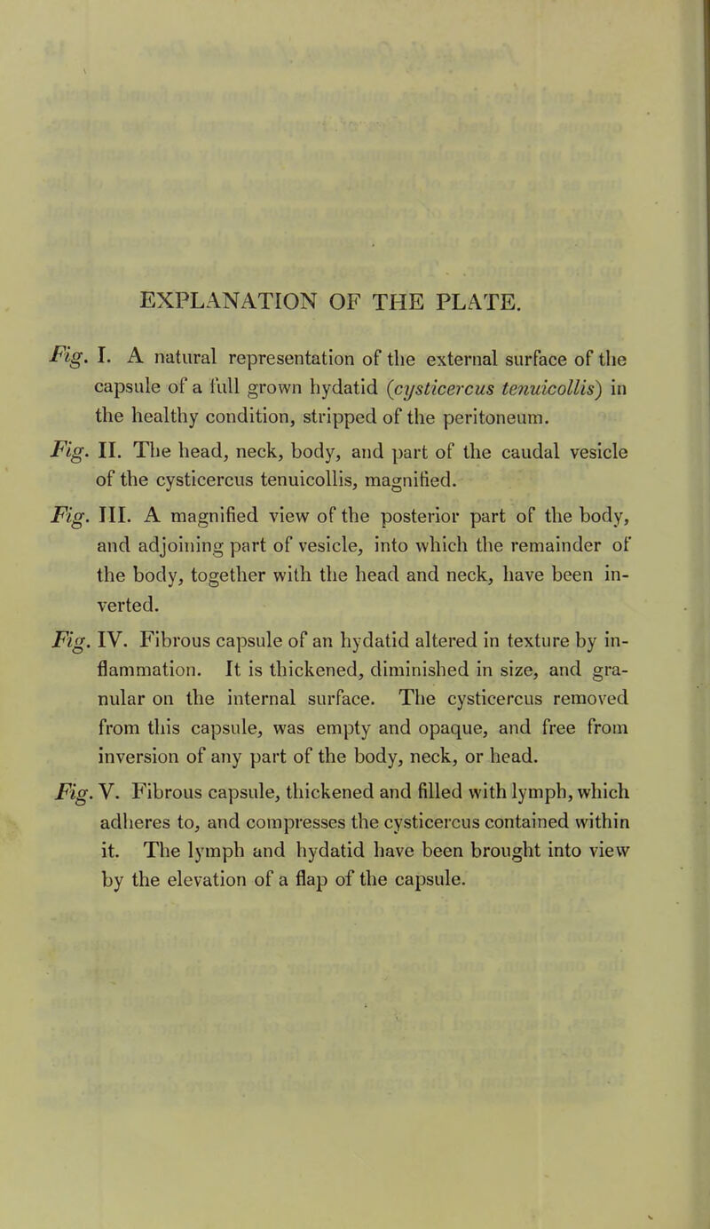 EXPLANATION OF THE PLATE. Fig. I. A natural representation of the external surface of the capsule of a full grown hydatid {cysticercus tenuicollis) in the healthy condition, stripped of the peritoneum. Fig. IL The head, neck, body, and part of the caudal vesicle of the cysticercus tenuicollis, magnified. Fig. IIL A magnified view of the posterior part of the body, and adjoining part of vesicle, into which the remainder of the body, together with the head and neck, have been in- verted. Fig. IV. Fibrous capsule of an hydatid altered in texture by in- flammation. It is thickened, diminished in size, and gra- nular on the internal surface. The cysticercus removed from this capsule, was empty and opaque, and free from inversion of any part of the body, neck, or head. Fig. V. Fibrous capsule, thickened and filled with lymph, which adheres to, and compresses the cysticercus contained within it. The lymph and hydatid have been brought into view by the elevation of a flap of the capsule.