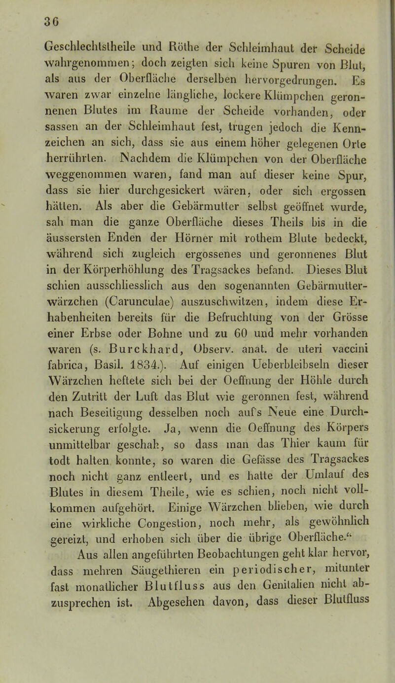 30 Gesclüechtslheile und Rothe der Schleimhaut der Scheide wahrgenommen ; doch zeigten sich keine Spuren von Blut, als aus der Oberfläche derselben hervorgedrungen. Es waren zwar einzelne längliche, lockere Klümpchen geron- nenen Blutes im Räume der Scheide vorhanden, oder sassen an der Schleimhaut fest, trugen jedoch die Kenn- zeichen an sich, dass sie aus einem höher gelegenen Orle herrührten. Machdem die Klümpchen von der Oberfläche weggenommen waren, fand man auf dieser keine Spur, dass sie hier durchgesickert wären, oder sich ergossen hätten. Als aber die Gebärmutter selbst geöffnet wurde, sah man die ganze Oberfläche dieses Theils bis in die äussersten Enden der Hörner mit rothem Blute bedeckt, während sich zugleich ergossenes und geronnenes Blut in der Körperhöhlung des Tragsackes befand. Dieses Blut schien ausschliesslich aus den sogenannten Gebärmutter- wärzchen (Carunculae) auszuschwitzen, indem diese Er- habenheiten bereits für die Befruchtung von der Grösse einer Erbse oder Bohne und zu 60 und mehr vorhanden waren (s. Burckhard, Observ. anat. de uteri vaccini fabrica, Basil. 1834.). Auf einigen Ueberbleibseln dieser Wärzchen heftete sich bei der Oeffnung der Höhle durch den Zutritt der Luft das Blut wie geronnen fest, während nach Beseitigung desselben noch auf's Neue eine Durch- sickerung erfolgte. Ja, wenn die Oeffnung des Körpers unmittelbar geschah, so dass man das Thier kaum für todt halten konnte, so waren die Gefässe des Tragsackes noch nicht ganz entleert, und es halte der Umlauf des Blutes in diesem Theile, wie es schien, noch nicht voll- kommen aufgehört. Einige Wärzchen blieben, wie durch eine wirkliche Congeslion, noch mehr, als gewöhnlich gereizt, und erhoben sich über die übrige Oberfläche/' Aus allen angeführten Beobachtungen geht klar hervor, dass mehren Säugethieren ein periodischer, mitunter fast monatlicher Blutfluss aus den Genitalien nicht ab- zusprechen ist. Abgesehen davon, dass dieser Blutfluss