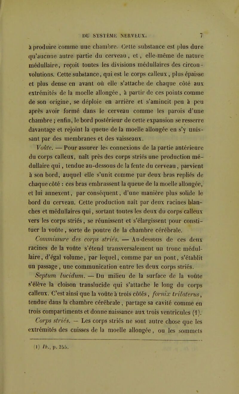 h produire comme une cliam'ore. Cette substance est plus dure qu'ancntie autre partie du cerveau, et, elle-même de nature médullaire, reçoit toutes les divisions médullaires des circon- Tolutions. Cette substance, qui est le corps calleux, plus épaisse et plus dense en avant où elle s'attache de chaque côté aux extrémités de la moelle allongée, à prtir de ces points comme de son origine, se déploie en arrière et s'amincit peu à peu après avoir formé dans le cerveau comme les parois d'une chambre ; enfin, le bord postérieur de cette expansion se resserre davantage et rejoint la queue de la moelle allongée en s'y unis- sant par des membranes et des vaisseaux. Voûte. — Pour assurer les connexions de la partie antérieure du corps calleux, naît près des corps striés une production mé- dullaire qui, tendue au-dessous de la fente du cerveau, parvient à son bord, auquel elle s'unit comme par deux bras repliés de chaque côté : ces bras embrassent la queue de la moelle allongée, et lui annexent, par conséquent, d'une manière plus solide le bord du cerveau. Cette production naît par deux racines blan- ches et médullaires qui, sortant toutes les deux du corps calleux vers les corps striés, se réunissent et s'élargissent pour consti- tuer la voûte, sorte de poutre de la chambre cérébrale. Commissure des corps striés. — Au-dessous de ces deux racines de la voûte s'étend transversalement un tronc médul- laire, d'égal volume, par lequel, comme par un pont, s'établit un passage, une communication entre les deux corps striés. Septum lucidum. — Du milieu de la surface de la voûte s'élève la cloison translucide qui s'attache le long du corps calleux. C'est ainsi que la voûte à trois côtés, fomix trilatenis, tendue dans la chambre cérébrale, partage sa cavité comme en trois compartiments et dotme naissance aux trois ventricules (1). Corps striés. — Les corps striés ne sont autre chose que les extrémités des cuisses de la moelle allongée, ou les sommets