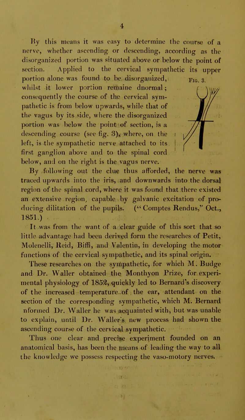 tliis means it was easy to determine the course of a nerve, whether ascending or descending, according as the disorganized portion was situated above or below the point of section. Applied to the cervical sympathetic its upper portion alone was found to be disorganized, fig. 3. whilst it lower portion remaine dnormal; consequently the course of the cervical sym- pathetic is from below upwards, wliile that of the vagus by its side, where the disorganized portion was below the point of section, is a descending course (see fig. 3), where, on the i left, is the sympathetic nerve attached to its | first ganglion above and to the spinal cord ' below, and on the right is the vagus nerve. By ,following out the clue thus afforded, the nerve was traced upwards into the iris, and downwards into the dorsal region of tlie spinal cord, where it was found that there existed an extensive region, capable by galvanic excitation of pro- ducing dilitation of the pupils. ( Comptes Rendus, Oct., 1851.) It was from the want of a clear guide of this sort that so little advantage had been derived form the researches of Petit, Molenelli, lieid, Biffi, and Valentin, in developing the motor functions of the cervical sympathetic, and its spinal origin. These researches on the sympathetic, for which M. Budge and Dr. Waller obtained the Monthyon Prize, for. experi- mental physiology of 1852, quickly led to Bernard's discovery of the increased temperature of the ear, attendant on the section of the corresponding sympathetic, which M. Bernard nformed Dr. Waller he was acquainted with, but was unable to explain, until Dr. Waller's new process had shown the ascending course of the cervical sympathetic. Thus one clear and precise experiment founded on an anatomical basis, has been the means of leading the way to all the knowledge we possess respecting the vaso-niotory nerves.