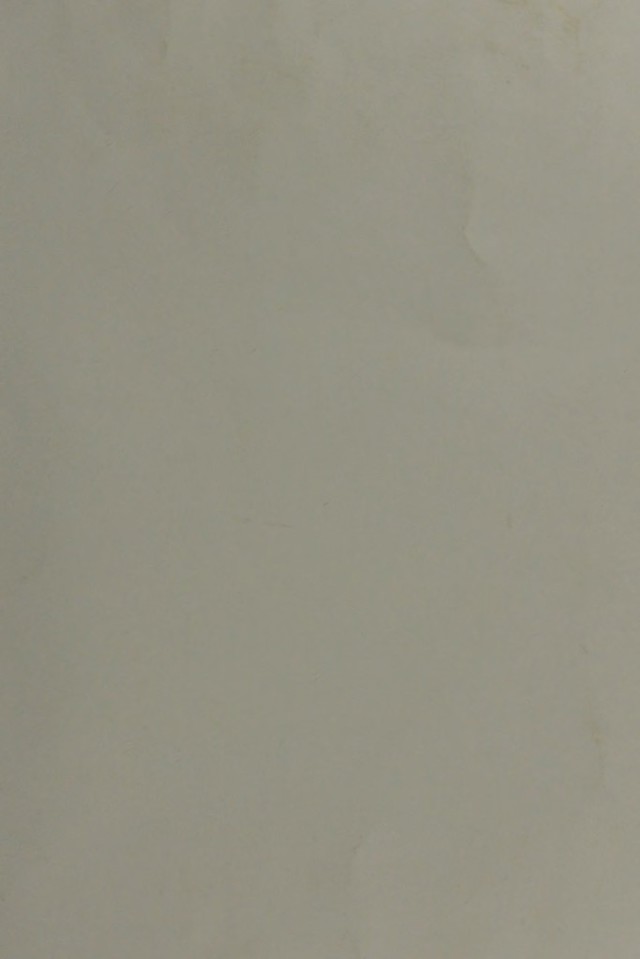 digitised image 1