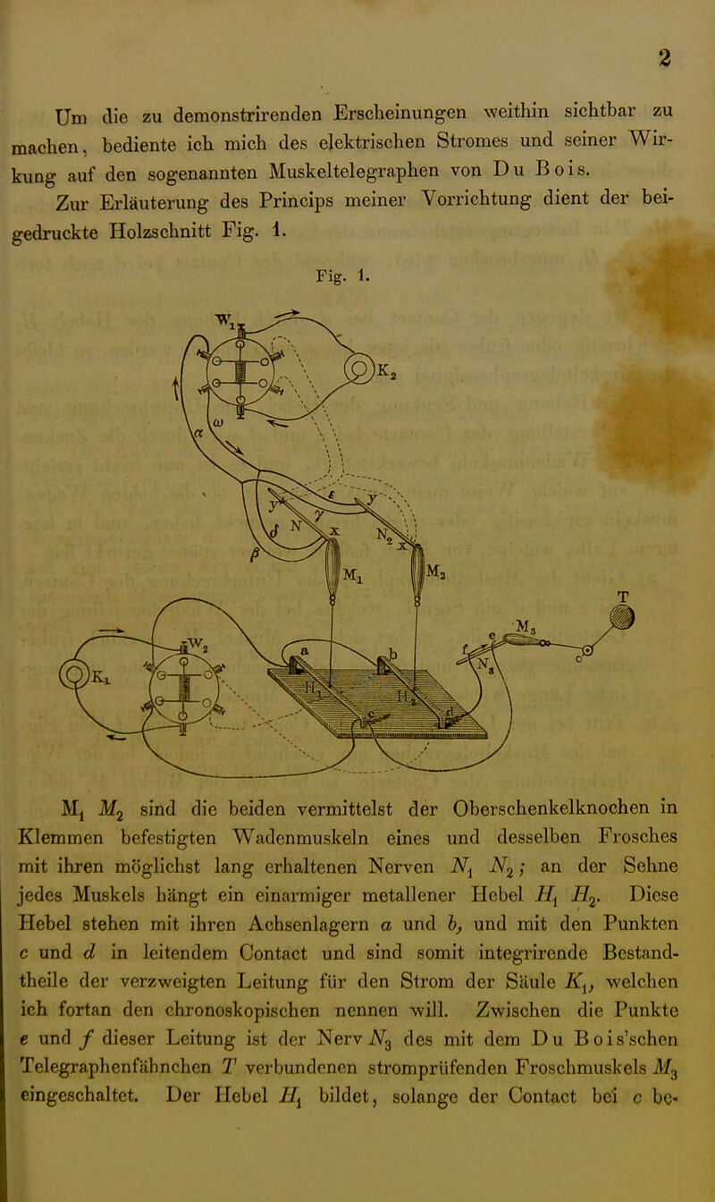 Um die zu demonstrirenden Erscheinungen weithin sichtbar zu machen, bediente ich mich des elektrischen Stromes und seiner Wir- kung auf den sogenannten Muskeltelegraphen von Du Bois. Zur Erläuterung des Princips meiner Vorrichtung dient der bei- gedruckte Holzschnitt Fig. 1. Fig. 1. M| sind die beiden vermittelst der Oberschenkelknochen in Klemmen befestigten Wadenmuskeln eines und desselben Frosches mit ihren möglichst lang erhaltenen Nerven iVj; an der Sehne jedes Muskels hängt ein einarmiger metallener Hebel jEj- Diese Hebel stehen mit ihren Achsenlagern a und und mit den Punkten c und d in leitendem Contact und sind somit integrircnde Bcstand- theile der verzweigten Leitung für den Strom der Säule K^, welchen ich fortan den chronoskopischen nennen Avill. Zwischen die Punkte e und / dieser Leitung ist der Nervi\^g des mit dem Du Bois'schen Telegraphenfähnchen T verbundenen stromprüfenden Froschmuskels eingeschaltet. Der Hebel IJ^ bildet, solange der Contact bei c be«