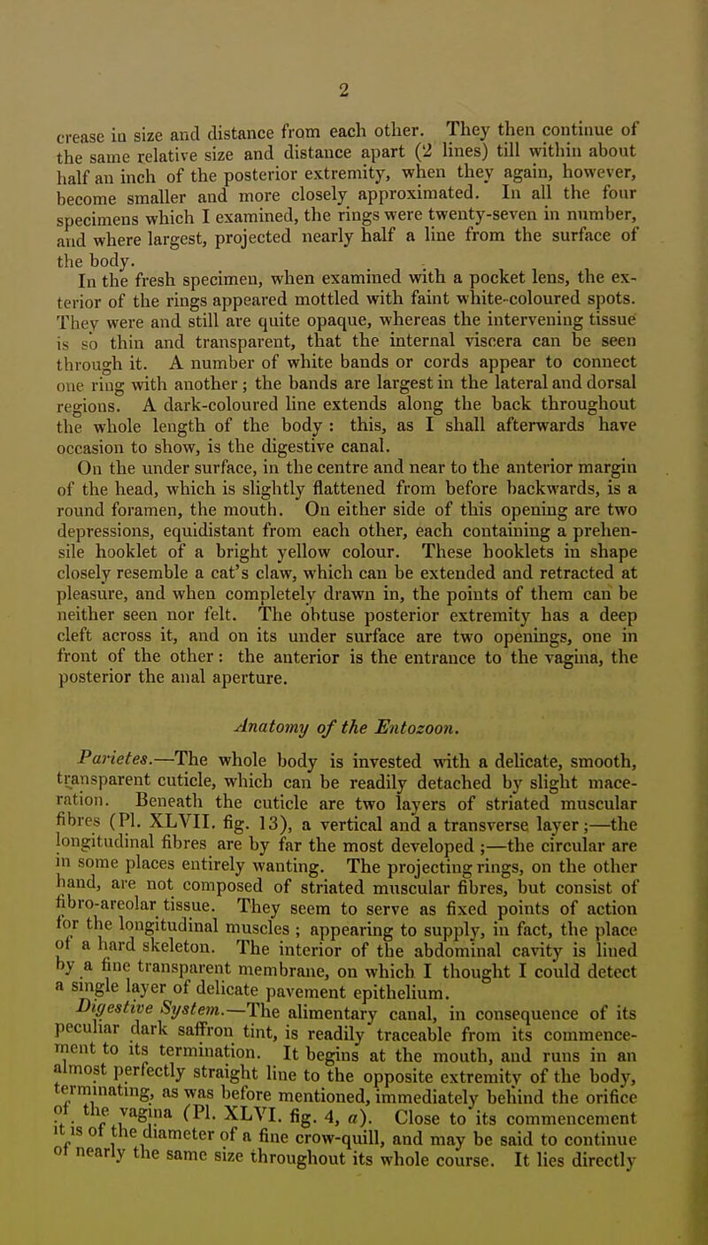 crease ia size and distance from each other. They then continue of the same relative size and distance apart ('2 Hnes) till within about half an inch of the posterior extremity, when they again, however, become smaller and more closely approximated. In all the four specimens which I examined, the rings were twenty-seven in number, and where largest, projected nearly half a line from the surface of the body. In the fresh specimen, when examined with a pocket lens, the ex- terior of the rings appeared mottled with faint white-coloured spots. Thev were and still are quite opaque, whereas the intervening tissue is so thin and transparent, that the internal viscera can be seen through it. A number of white bands or cords appear to connect one ring with another ; the bands are largest in the lateral and dorsal regions. A dark-coloured line extends along the back throughout the whole length of the body : this, as I shall afterwards have occasion to show, is the digestive canal. On the vmder surface, in the centre and near to the anterior margin of the head, which is slightly flattened from before backwards, is a round foramen, the mouth. On either side of this opening are two depressions, equidistant from each other, each containing a prehen- sile booklet of a bright yellow colour. These booklets in shape closely resemble a cat's claw, which can be extended and retracted at pleasure, and when completely drawn in, the points of them can be neither seen nor felt. The obtuse posterior extremity has a deep cleft across it, and on its under surface are two openings, one in front of the other: the anterior is the entrance to the vagina, the posterior the anal aperture. Anatomy of the Entozoon. Parietes.—The whole body is invested with a delicate, smooth, transparent cuticle, which can be readily detached by slight mace- ration. Beneath the cuticle are two layers of striated muscular fibres (PI. XLVII. fig. 13), a vertical and a transverse layer;—the longitudinal fibres are by far the most developed ;—the circular are in some places entirely wanting. The projecting rings, on the other hand, are not composed of striated muscular fibres, but consist of fibro-areolar tissue. They seem to serve as fixed points of action for the longitudinal muscles ; appearing to supply, in fact, the place of a hard skeleton. The interior of the abdominal cavity is lined by a fine transparent membrane, on which I thought I could detect a single layer of delicate pavement epithelium. Digestive Systejn.~T\\e alimentary canal, in consequence of its peculiar dark saffron tint, is readily traceable from its commence- ment to Its termination. It begins at the mouth, and runs in an almost perfectly straight line to the opposite extremity of the body, terminating, as was before mentioned, immediately behind the orifice ot the vagina (PI. XLVI. fig. 4, a). Close to its commencement It IS ot the diameter of a fine crow-quill, and may be said to continue 01 nearly the same size throughout its whole course. It lies directly
