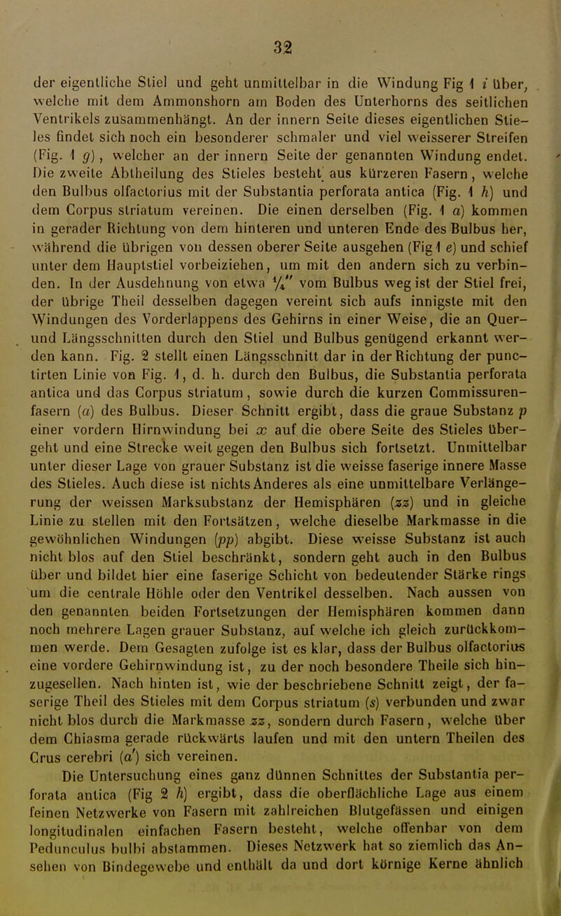 der eigentliche Stiel und geht unmittelbar in die Windung Fig \ i Uber, welche mit dem Ammonshorn am Boden des Unterhorns des seitlichen Ventrikels zusammenhängt. An der innern Seile dieses eigentlichen Stie- les findet sich noch ein besonderer schmaler und viel weisserer Streifen (Fig. 1 g), welcher an der innern Seite der genannten Windung endet. Die zweite Abiheilung des Stieles besteht aus kürzeren Fasern, welche den Bulbus olfactorius mit der Substantia perforata antica (Fig. 1 h) und dem Corpus striatum vereinen. Die einen derselben (Fig. \ a) kommen in gerader Bichlung von dem hinteren und unteren Ende des Bulbus her, während die übrigen von dessen oberer Seite ausgehen (Fig 1 e) und schief unter dem Hauptstiel vorbeiziehen, um mit den andern sich zu verbin- den. In der Ausdehnung von etwa % vom Bulbus wegist der Stiel frei, der übrige Theil desselben dagegen vereint sich aufs innigste mit den Windungen des Vorderlappens des Gehirns in einer Weise, die an Quer- und Längsschnitten durch den Stiel und Bulbus genügend erkannt wer- den kann. Fig. 2 stellt einen Längsschnitt dar in derBichtung der punc- tirten Linie von Fig. 1, d. h. durch den Bulbus, die Substanlia perforata antica und das Corpus striatum, sowie durch die kurzen Commissuren- fasern (a) des Bulbus. Dieser Schnitt ergibt, dass die graue Substanz p einer vordem Hirnwindung bei x auf die obere Seite des Stieles Uber- geht und eine Strecke weit gegen den Bulbus sich fortsetzt. Unmittelbar unter dieser Lage von grauer Substanz ist die weisse faserige innere Masse des Stieles. Auch diese ist nichts Anderes als eine unmittelbare Verlänge- rung der weissen Marksubstanz der Hemisphären (zz) und in gleiche Linie zu stellen mit den Fortsätzen, welche dieselbe Markmasse in die gewöhnlichen Windungen (pp) abgibt. Diese weisse Substanz ist auch nicht blos auf den Stiel beschränkt, sondern geht auch in den Bulbus über und bildet hier eine faserige Schicht von bedeutender Stärke rings um die centrale Höhle oder den Ventrikel desselben. Nach aussen von den genannten beiden Fortsetzungen der Hemisphären kommen dann noch mehrere Lagen grauer Substanz, auf welche ich gleich zurückkom- men werde. Dem Gesagten zufolge ist es klar, dass der Bulbus olfactorius eine vordere Gehirnwindung ist, zu der noch besondere Theile sich hin- zugesellen. Nach hinten ist, wie der beschriebene Schnitt zeigt, der fa- serige Theil des Stieles mit dem Corpus striatum (s) verbunden und zwar nicht blos durch die Markmasse zz, sondern durch Fasern, welche Uber dem Chiasma gerade rückwärts laufen und mit den untern Theilen des Crus cerebri (a) sich vereinen. Die Untersuchung eines ganz dünnen Schnittes der Substantia per- forata antica (Fig 2 h) ergibt, dass die oberflächliche Lage aus einem feinen Netzwerke von Fasern mit zahlreichen Blutgefässen und einigen longitudinalen einfachen Fasern besteht, welche offenbar von dem Pedunculus bulbi abstammen. Dieses Netzwerk hat so ziemlich das An- sehen von Bindegewebe und enthält da und dort körnige Kerne ähnlich