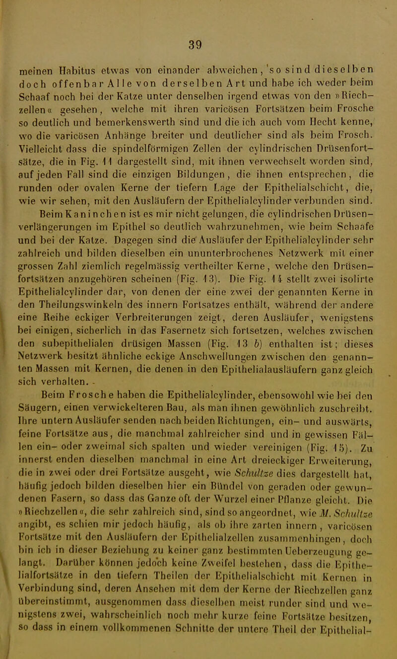meinen Habitus etwas von einander abweichen, 'so sind dieselben doch offenba r AI 1 e von derselben Art und habe ich weder beim Schaaf noch bei der Katze unter denselben irgend etwas von den »Riech- zellen« gesehen, welche mit ihren varicösen Fortsätzen beim Frosche so deutlich und bemerkenswerth sind und die ich auch vom Hecht kenne, wo die varicösen Anhänge breiter und deutlicher sind als beim Frosch. Vielleicht dass die spindelförmigen Zellen der cylindrischen Drüsenfort- sätze, die in Fig. 11 dargestellt sind, mit ihnen verwechselt worden sind, auf jeden Fall sind die einzigen Bildungen, die ihnen entsprechen, die runden oder ovalen Kerne der tiefern Lage der Epithelialsehicht, die, wie wir sehen, mit den Ausläufern der Epithelialcylinder verbunden sind. Beim K ani nchen ist es mir nicht gelungen, die cylindrischen Drüsen- verlängerungen im Epithel so deutlich wahrzunehmen, wie beim Schaafe und bei der Katze. Dagegen sind die Ausläufer der Epithelialcylinder sehr zahlreich und bilden dieselben ein ununterbrochenes Netzwerk mit einer grossen Zahl ziemlich regelmässig vertheilter Kerne, welche den Drüsen- fortsätzen anzugehören scheinen (Fig. 13). Die Fig. 14 stellt zwei isolirte Epithelialcylinder dar, von denen der eine zwei der genannten Kerne in den Theilungswinkeln des innern Forlsatzes enthält, während der andere eine Reihe eckiger Verbreilerungen zeigt, deren Ausläufer, wenigstens bei einigen, sicherlich in das Fasernetz sich fortsetzen, welches zwischen den subepithelialen drüsigen Massen (Fig. 13 b) enthalten ist; dieses Netzwerk besitzt ähnliche eckige Anschwellungen zwischen den genann- ten Massen mit Kernen, die denen in den Epithelialausläufern ganz gleich sich verhalten. Beim Frosche haben die Epithelialcylinder, ebensowohl wie bei den Säugern, einen verwickeiteren Bau, als man ihnen gewöhnlich zuschreibt. Ihre untern Ausläufer senden nach beiden Bichtungen, ein- und auswärts, feine Fortsätze aus, die manchmal zahlreicher sind und in gewissen Fäl- len ein- oder zweimal sich spalten und wieder vereinigen (Fig. 15). Zu innerst enden dieselben manchmal in eine Art dreieckiger Erweiterung, die in zwei oder drei Fortsätze ausgeht, wie Schnitze dies dargestellt hat, häufig jedoch bilden dieselben hier ein Bündel von geraden oder gewun- denen Fasern, so dass das Ganze oft der Wurzel einer Pflanze gleicht. Die »Biechzellen«, die sehr zahlreich sind, sind so angeordnet, wie M. Schullze angibt, es schien mir jedoch häufig, als ob ihre zarten innern , varicösen Fortsätze milden Ausläufern der Epithelialzellen zusammenhingen, doch bin ich in dieser Beziehung zu keiner ganz bestimmten Ueberzeugung ge- langt. Darüber können jedoch keine Zweifel bestehen , dass die Epithe- lialfortsätze in den tiefern Theilen der Epithelialschicht mit Kernen in Verbindung sind, deren Ansehen mit dem der Kerne der Riechzellen ganz Ubereinstimmt, ausgenommen dass dieselben meist runder sind und we- nigstens zwei, wahrscheinlich noch mehr kurze feine Fortsätze besitzen, so dass in einem vollkommenen Schnitte der untere Theil der Epithelial-