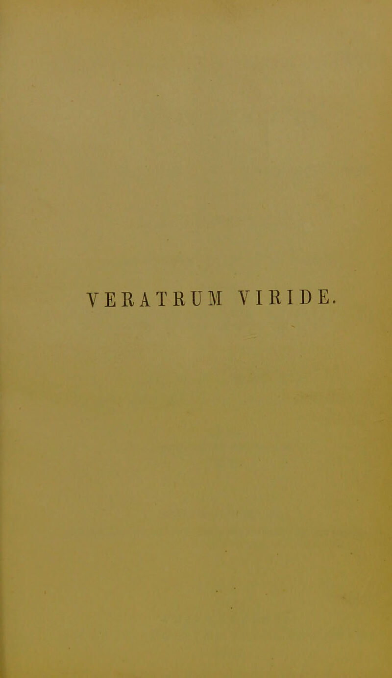 VERATRUM VIRIDE.