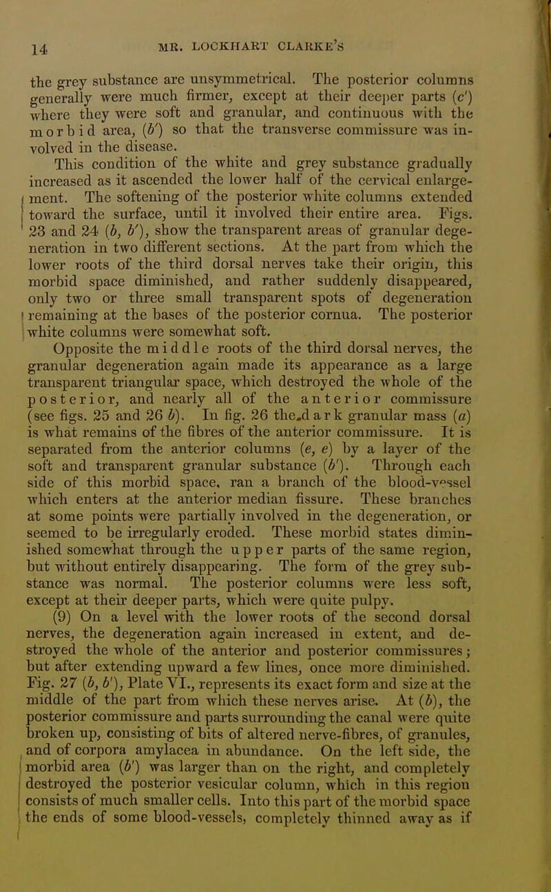 the grey substance are unsymmetrical. The posterior columns generally were much firmer^ except at their cleei)er parts (c') where they were soft and granular, and continuous with the morbid area, {b') so that the transverse commissure was in- volved in the disease. This condition of the white and grey substance gradually increased as it ascended the lower half of the cervical enlarge- ment. The softening of the posterior white columns extended toward the surface, until it involved their entire area. Figs. 23 and 34 (b, b'), show the transparent areas of granular dege- neration in two different sections. At the part from which the lower roots of the third dorsal nerves take their origin, this morbid space diminished, and rather suddenly disappeared, only two or three small transparent spots of degeneration I remaining at the bases of the posterior cornua. The posterior 'white columns were somewhat soft. Opposite the middle roots of the third dorsal nerves, the granular degeneration again made its appearance as a large transparent triangular space, which destroyed the whole of the posterior, and nearly all of the anterior commissure (see figs. 25 and 26 b). In fig. 26 thcdark granular mass (c) is what remains of the fibres of the anterior commissure. It is separated from the anterior columns {e, e) by a layer of the soft and transparent granular substance {b'). Thi'ough each side of this morbid space, ran a branch of the blood-v'^'ssel which enters at the anterior median fissure. These branches at some points were partially involved in the degeneration, or seemed to be irregularly eroded. These morbid states dimin- ished somewhat through the upper parts of the same region, but without entirely disappearing. The form of the grey sub- stance was normal. The postei*ior columns were less soft, except at their deeper parts, which were quite pulpy. (9) On a level with the lower roots of the second dorsal nerves, the degeneration again increased in extent, and de- stroyed the whole of the anterior and posterior commissures; but after extending upward a few lines, once more diminished. Fig. 27 [b, b'), Plate VI., represents its exact form and size at the middle of the part from which these nerves arise. At (b), the posterior commissure and parts surrounding the canal were quite broken up, consisting of bits of altered nerve-fibres, of granules, and of corpora amylacea in abundance. On the left side, the morbid area {b') was larger than on the right, and completely destroyed the posterior vesicular column, which in this region consists of much smaller cells. Into this part of the morbid space the ends of some blood-vessels, completely thinned away as if