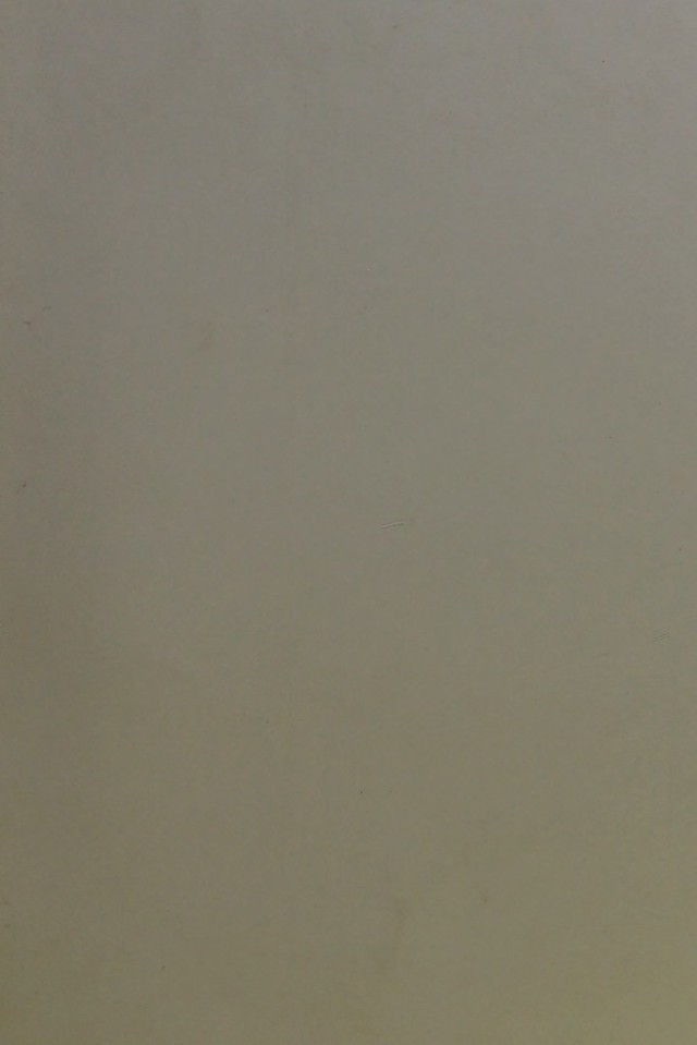 digitised image 1