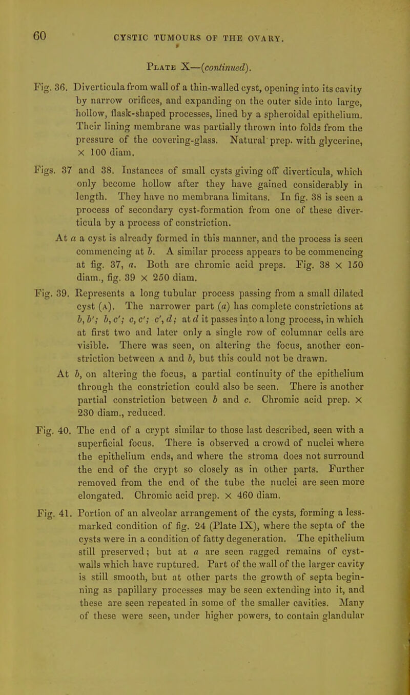 f Pi-ATii X—(continited). Fig. 36. Diverticula from wall of a thin-walled cyst, opening into its cavity by narrow orifices, and expanding on the outer side into large, hollow, flask-shaped processes, lined by a spheroidal epithelium. Their lining membrane was partially thrown into folds from the pressure of the covering-glass. Natural prep, with glycerine, X 100 diam. Figs. 37 and 38. Instances of small cysts giving off diverticula, which only become hollow after they have gained considerably in length. They have no membrana limitans. In fig. 38 is seen a process of secondary cyst-formation from one of these diver- ticula by a process of constriction. At rt a cyst is already formed in this manner, and the process is seen commencing at b. A similar process appears to be commencing at fig. 37, a. Both are chromic acid preps. Fig. 38 x 150 diam., fig. 39 X 250 diam. Fig. 39. Represents a long tubular process passing from a small dilated cyst (a). The narrower part («) has complete constrictions at b, b'; b, c'; c, c'; c', d; atd it passes into a long process, in which at first two and later only a single row of columnar cells are visible. There was seen, on altering the focus, another con- striction between a and 6, but this could not be drawn. At b, on altering the focus, a partial continuity of the epithelium through the constriction could also be seen. There is another partial constriction between b and c. Chromic acid prep. X 230 diam,, reduced. Fig. 40. The end of a crypt similar to those last described, seen with a superficial focus. There is observed a crowd of nuclei where the epithelium ends, and where the stroma does not surround the end of the crypt so closely as in other parts. Further removed from the end of the tube the nuclei are seen more elongated. Chromic acid prep, x 460 diam. Fig. 41. Portion of an alveolar arrangement of the cysts, forming a less- marked condition of fig. 24 (Plate IX), where the septa of the cysts were in a condition of fatty degeneration. The epithelium still preserved; but at a are seen ragged remains of cyst- walls which have ruptured. Part of the wall of the larger cavity is still smooth, but nt other parts the growth of septa begin- ning as papillary processes may be seen extending into it, and these are seen repeated in some of the smaller cavities. Many of these were seen, imder higher powers, to contain glandular