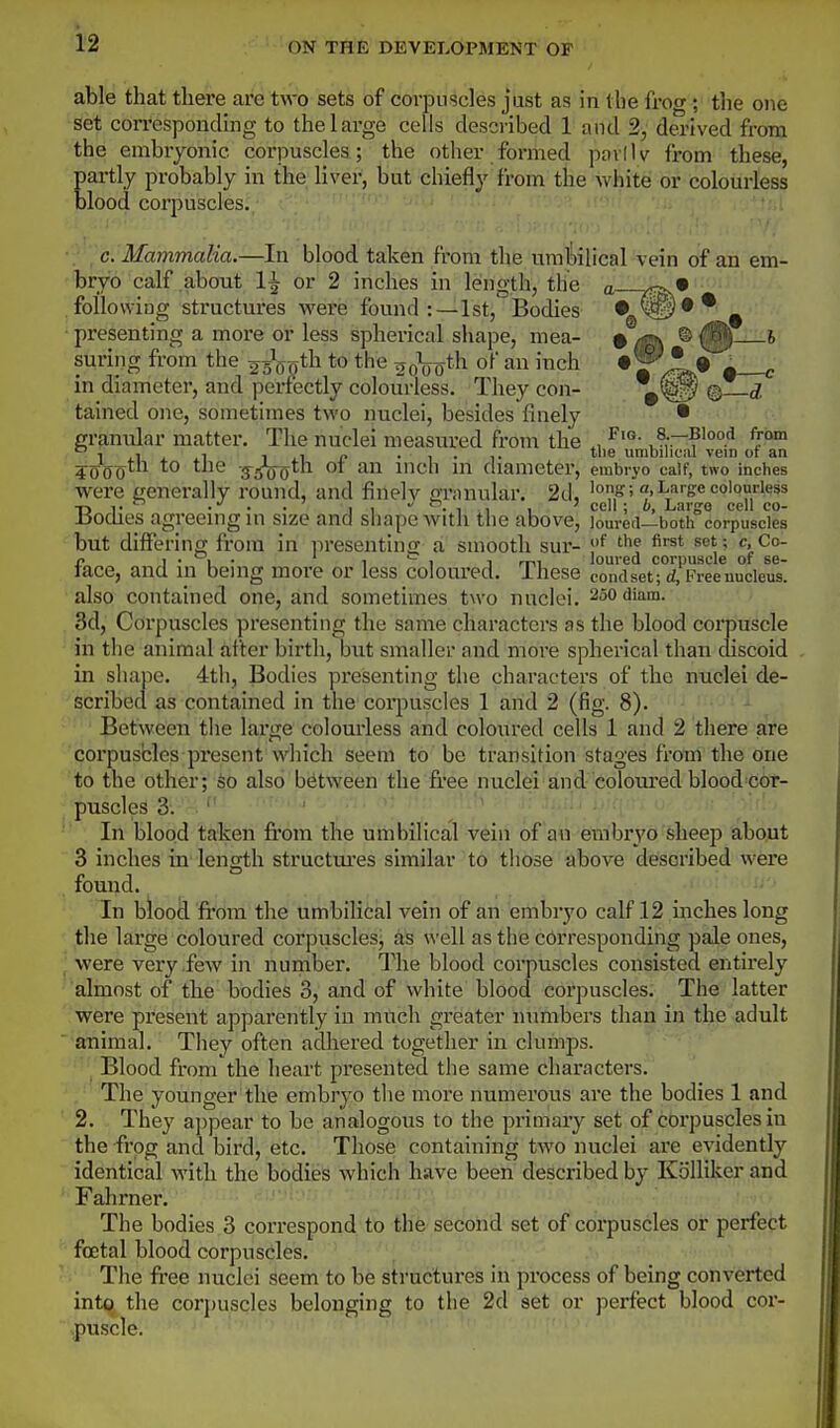 able that there are two sets of corpuscles just as in the frog ; the one set corresponding to thelai-ge cells described 1 and 2, derived from the embryonic corpuscles; the other formed povlW from these, partly probably in the liver, but chiefly from the Avhite or colourless blood corpuscles. ■; c. Mmnmalia.—In blood taken from the umbilical vein of an em- bryo calf about 1^ or 2 inches in length, the g • following structures vrere found:—1st, Bodies ^ • presenting a more or less spherical shape, mea- I suring from the 25^9*^^ the ooVo^h of an inch •^ J' • « c in diameter, and perfectly colourless. They con- \^W) ® ^ tained one, sometimes two nuclei, besides finely • granular matter. The nuclei measured from the „ ■\ jy . .-I 1.1 p • 1 • ^• t''^ umbilicju vein of an ?000* t^ ■ffSoa'-h Ol an nich m (hameter, embryo calf, two inches were generally round, and finely ariinular. 2d, long; a, Large colourless n I- • • • I 1 1 1 1 ' cell; b. Large cell co- Jiodies agreemgui size and sliapewith the above, loureti—both corpuscles but differing from in presenting a smooth sur- ^'^ t> I • 1 • 1 1 1 mi loured corpuscle of se- tace, and in bemg more or less coloured. These condset; d, l^ree nucleus, also contained one, and sometimes t\vo nuclei. SoOdiam. 3d, Corpuscles presenting the same characters as the blood corpuscle in the animal after birth, but smaller and more spherical than cliscoid in shape. 4th, Bodies presenting the characters of the nuclei de- scribed as contained in the corpuscles 1 and 2 (fig. 8). Between the large colourless and coloured cells 1 and 2 there are corpuscles present which seem to be transition stages from the one to the other; so also between the free nuclei and-coloured blood cor- puscles 3. ' ' '-'^ J*'- In blood taken fi-om the umbilical vein of an embryo sheep about 3 inches in length structui'es similar to those above described were found. In blood fi'om the umbilical vein of an embryo calf 12 inches long the large coloured corpuscles, as ^^■ell as the corresponding pale ones, ■ were veiy few in number. The blood corpuscles consisted entirely almost of the bodies 3, and of white blood corpuscles. The latter were present apparently in much greater inimbers than in the adult animal. They often adhered together in clumps. Blood from the heart presented the same characters. The younger the embryo the more numerous are the bodies 1 and 2. They ai)pear to be analogous to the primary set of corpuscles in the frog and bird, etc. Those containing two nuclei are evidently identical with the bodies which have been described by KoUiker and Fahrner, The bodies 3 correspond to the second set of corpuscles or perfect foetal blood corpuscles. The free nuclei seem to be structures in process of being converted inttj the corpuscles belonging to the 2d set or perfect blood cor- -.puscle.