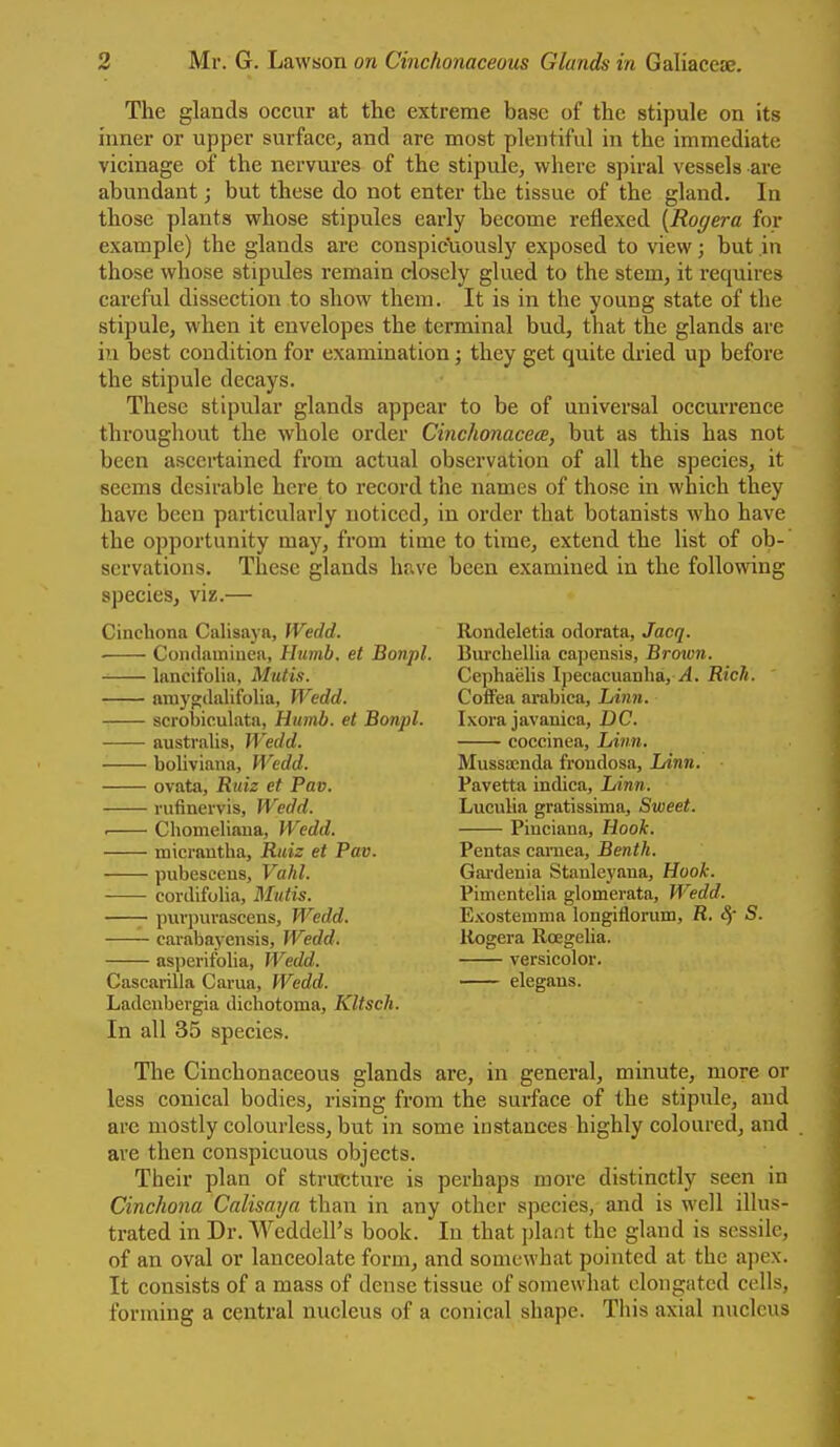 The glands occur at the extreme base of the stipule on its inner or upper surface^ and are most plentiful in the immediate vicinage of the nervures of the stipule, where spiral vessels are abundant; but these do not enter the tissue of the gland. In those plants whose stipules early become reflexed [Royera for example) the glands are conspic^iousl)' exposed to view; but in those whose stipules remain closely glued to the stem, it requires careful dissection to show them. It is in the young state of the stipule, when it envelopes the terminal bud, that the glands are iu best condition for examination; they get quite dried up before the stipule decays. These stipular glands appear to be of universal occui'rence throughout the whole order Cinchonacece, but as this has not been ascertained from actual observation of all the species, it seems desirable here to record the names of those in which they have been particularly noticed, in order that botanists who have the opportunity majr, from time to time, extend the list of ob- servations. These glands have been examined in the following species, viz.— Cinchona Calisaj-a, Wedd. ■ Condamincfi, Humb. et Bonpl. lancifolia, Mutts. aniygilalifolia, Wedd. scrobiculata, Humb. et Bonpl. australis, Wedd. ■ boliviana, Wedd. ovata, Ruiz et Pav. rufinervis, Wedd. • Chomeliana, Wedd. raicrautha, Ruiz et Pav. pubesceus, Vahl. cordifolia, Mutis. puvpuvascens, Wedd. cavabayensis, Wedd. asperifolia, Wedd. Cascarilla Carua, Wedd. Ladeiibei'gia dichotoma. Kitsch. In all 35 species. Rondeletia odorata, Jacq. Biu'cbellia capensis, Brown. Cephaelis Ipecacuanha,^. Rich. CofFea arabica, Linn. Ixora javanica, DC. coccinea, hinn. Mussainda frondosa, lAnn. Pavetta indica. Linn. Lucuha gratissinia, Sweet. Piuciana, Hook. Pentas carnea, Benth. Gai-denia Stanleyana, Hook. Pimenteha glomerata, Wedd. Exostemma longiflorum, R. S. Kogera RcegeUa. versicolor. elegans. The Cinchonaceous glands are, in general, minute, more or less conical bodies, rising from the surface of the stipule, and are mostly colourless, but in some instances highly coloured, and are then conspicuous objects. Their plan of structure is perhaps more distinctly seen in Cinchona Calisaya than in any other species, and is well illus- trated in Dr. Weddell's book. In that jjlant the gland is sessile, of an oval or lanceolate form, and somewhat pointed at the apex. It consists of a mass of dense tissue of somewhat elongated cells, forming a central nucleus of a conical shiipe. This axial nucleus