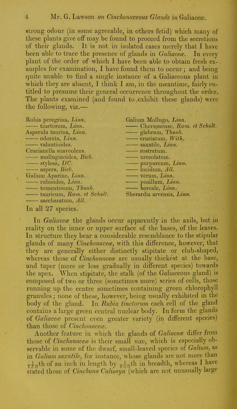 strong odour (in some agreeable, in others fetid) which many of these plants give off may be found to proceed from the secretions of their glands. It is not in isolated cases merely that I have been able to trace the presence of glands in Galiacea. In every plant of the order of which I have been able to obtain fresh ex- amples for examination, I have found them to occur; and being quite unable to find a single instance of a Galiaccous plant in which they are absent, I think I am, in the meantime, fairly en- titled to presume their general occurrence throughout the order. The plants examined (and found to,exhibit these glands) were the following, viz.— Rubia peregrina. Linn. ■ tiuctoruin, Linn. Asperula tauriua. Linn. odorata, Linn. valantioides. Cruciauella suavcoleiis. niolluginoides, Bieb. stylosa, DC. asjiera, Bieb. Galium A[)ai'inc, Linn. rubioides. Linn. tonieiitosiini, Thunb. tauricuin. Ram. et Schiilt saccbaratiiiu, All. In all 27 species. In GaliacecB the glands occur apparently in the axils, but in reality on the inner or upper surface of the bases, of the leaves. In structure they bear a considerable resemblance to the stipular glands of many Cinchonacece, Avith this difference, however, that they are generally either distinctly stipitate or club-shaped, whereas those of Cinchonacece are usually thickest at the base, and taper (more or less gradually in different species) towards the apex. When stipitate, the stalk (of the Galiaccous gland) is composed of two or three (sometimes more) series of cells, those running up the centre sometimes containing green chlorophyll granules; none of these, however, being usually exhibited in the body of the gland. In Rubia tindoi'um each cell of the gland contains a large green central nuclear body. In form the glands of Galiacea present even greater variety (in difi'erent species) than those of Cinchonacem. Another feature in which the glands of Galiacea differ from those of Cinchonacece is their small size, M'hich is especially ob- servable in some of the dwarf, small-leaved species of Galium, as in Galium saxatile, for instance, whose glands ai'c not more than ^^^th of an inch in length by ^^-^th in breadth, whereas I have stated those of Cinchona Calisaya (which arc not unusually large Galium Mollugo, Linn. Cheispnense, Ea?m. et Sckult. glabrum, Thunb. cruciatum. With. saxatile. Linn. vostratum. lu'ceolatum. puvpureum, Imik. lucidum, All. verum. Linn. ■ pusillum, Linn. boreale. Linn. Slierardia arvensis, Linn.