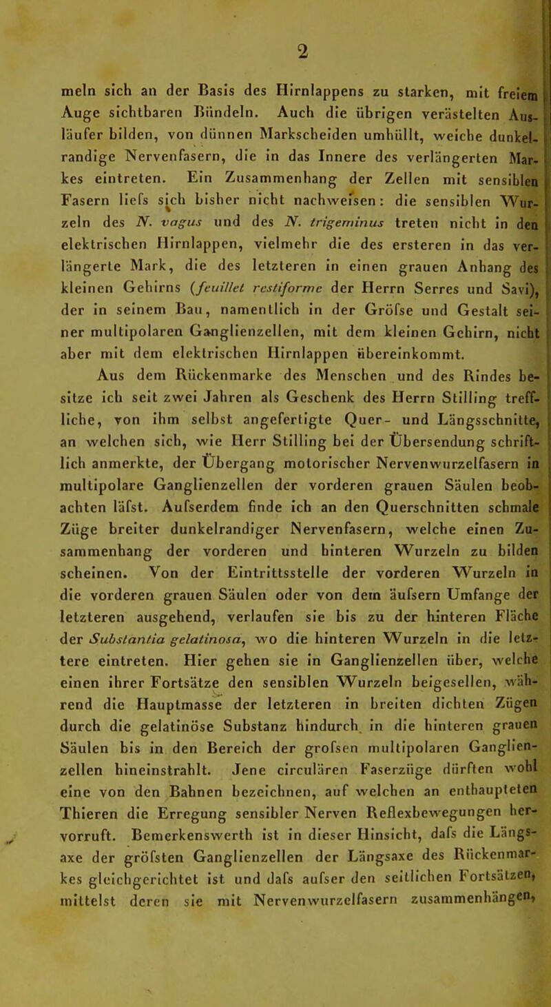 mein sich an der Basis des Hirnlappens zu starken, mit freiem Auge sichtbaren Bündeln. Auch die übrigen verästelten Aus- läufer bilden, von dünnen Markscheiden umhüllt, weiche dunkel- randige Nervenfasern, die in das Innere des verlängerten Mar- kes eintreten. Ein Zusammenhang der Zellen mit sensiblen Fasern liefs sich bisher nicht nachwersen: die sensiblen Wur- zeln des N. vagus und des N. irigeminus treten nicht in den elektrischen Hirnlappen, vielmehr die des ersteren in das ver- längerte Mark, die des letzteren in einen grauen Anhang des kleinen Gehirns {feuillei rcsiiformc der Herrn Serres und Savi), der in seinem Bau, namentlich in der Gröfse und Gestalt sei- ner multipolaren Ganglienzellen, mit dem kleinen Gehirn, nicht aber mit dem elektrischen Hirnlappen übereinkommt. Aus dem Rückenmarke des Menschen und des Rindes be- sitze ich seit zwei Jahren als Geschenk des Herrn Stilling treff- liche, von ihm selbst angefertigte Quer- und Längsschnitte, an welchen sich, wie Herr Stilling bei der Übersendung schrift- lich anmerkte, der Übergang motorischer Nervenwurzelfasern in multipolare Ganglienzellen der vorderen grauen Säulen beob- achten läfst. Aufserdem finde ich an den Querschnitten schmale Züge breiter dunkelrandiger Nervenfasern, welche einen Zu-? sammenhang der vorderen und hinteren Wurzeln zu bilden scheinen. Von der Eintrittsstelle der vorderen Wurzeln in die vorderen grauen Säulen oder von dem äufsern Umfange der letzteren ausgehend, verlaufen sie bis zu der hinteren Fläche der Subslantia gelatinosa, wo die hinteren Wurzeln in die let«- tere eintreten. Hier gehen sie in Ganglienzellen über, welche einen ihrer Fortsätze den sensiblen Wurzeln beigesellen, w äh- rend die Hauptmasse der letzteren in breiten dichten Zügen durch die gelatinöse Substanz hindurch, in die hinteren grauen Säulen bis in den Bereich der grofsen multipolaren Ganglien- zellen hineinstrahlt. Jene circulären Faserzüge dürften wohl eine von den Bahnen bezeichnen, auf welchen an enthaupteten Thieren die Erregung sensibler Nerven Reflexbewegungen her- vorruft. Bemerkenswerth ist in dieser Hinsicht, dafs die Längs- axe der gröfsten Ganglienzellen der Längsaxe des Rückenmar- kes gleichgerichtet ist und dafs aufser den seitlichen Fortsätzen» mittelst deren sie mit Nervenwurzelfasern zusammenhängen,