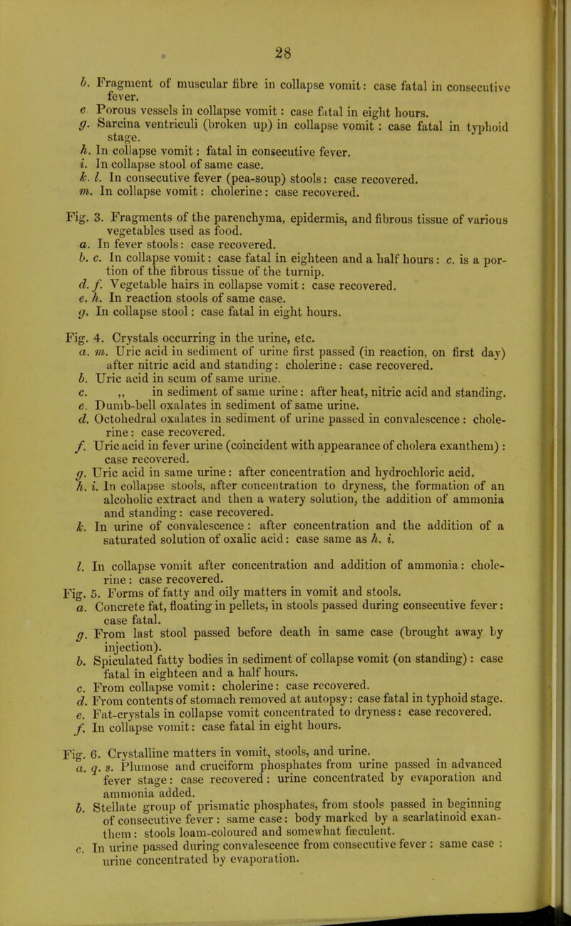b. Fragment of muscular fibre in collapse vomit: case fatal in consecutive fever. e Porous vessels in collapse vomit: case fatal in eight hours. g. Sarcina ventriculi (broken up) in collapse vomit : case fatal in typhoid stage. h. In collapse vomit: fatal in consecutive fever. i. In collapse stool of same case. k. I. In consecutive fever (pea-soup) stools: case recovered. m. In collapse vomit: cholerine: case recovered. Fig. 3. Fragments of the parenchyma, epidermis, and fibrous tissue of various vegetables used as food. a. In fever stools: case recovered. b. c. In collapse vomit: case fatal in eighteen and a half hours: c. is a por- tion of the fibrous tissue of the turnip. d. f. Vegetable hairs in collapse vomit: case recovered. e. h. In reaction stools of same case. g. In collapse stool: case fatal in eight hours. Fig. 4. Crystals occurring in the urine, etc. a. m. Uric acid in sediment of urine first passed (in reaction, on first day) after nitric acid and standing: cholerine: case recovered. h. Uric acid in scum of same urine. c. ,, in sediment of same urine: after heat, nitric acid and standing. e. Dumb-bell oxalates in sediment of same urine. d. Octohedral oxalates in sediment of urine passed in convalescence : chole- rine : case recovered. /. Uric acid in fever urine (coincident with appearance of cholera exanthem) : case recovered. g. Uric acid in same urine: after concentration and hydrochloric acid. h. i. In collapse stools, after concentration to dryness, the formation of an alcoholic extract and then a watery solution, the addition of ammonia and standing; case recovered. k. In urine of convalescence : after concentration and the addition of a saturated solution of oxalic acid: case same as h. i. I. In collapse vomit after concentration and addition of ammonia: chole- rine : case recovered. Fig. 5. Forms of fatty and oily matters in vomit and stools. a. Concrete fat, fl[oating in pellets, in stools passed during consecutive fever: case fatal. g. From last stool passed before death in same case (brought away by injection). b. Spiculated fatty bodies in sediment of collapse vomit (on standing) : case fatal in eighteen and a half hours. c. From collapse vomit: cholerine: case recovered. d. From contents of stomach removed at autopsy: case fatal in typhoid stage. e. Fat-crystals in collapse vomit concentrated to dryness: case recovered. /. In collapse vomit: case fatal in eight hours. Fig. 6. Crystalline matters in vomit, stools, and urine. a. q. s. Plumose and cruciform phosphates from urine passed in advanced fever stage: case recovered: urine concentrated by evaporation and ammonia added. b. Stellate group of prismatic phosphates, from stools passed in beginning of consecutive fever : same case: body marked by a scarlatinoid exan- them : stools loam-coloured and somewhat fseculent. c. In urine passed during convalescence from consecutive fever : same case : urine concentrated by evaporation.