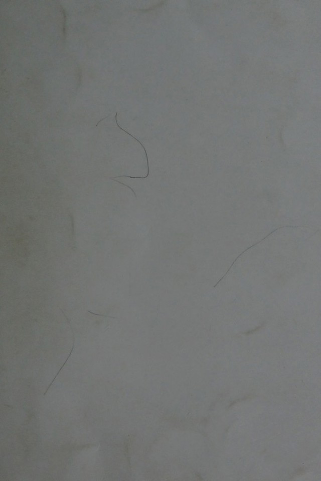 digitised image 1