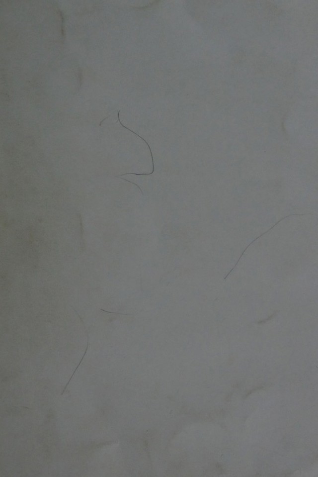 digitised image 1
