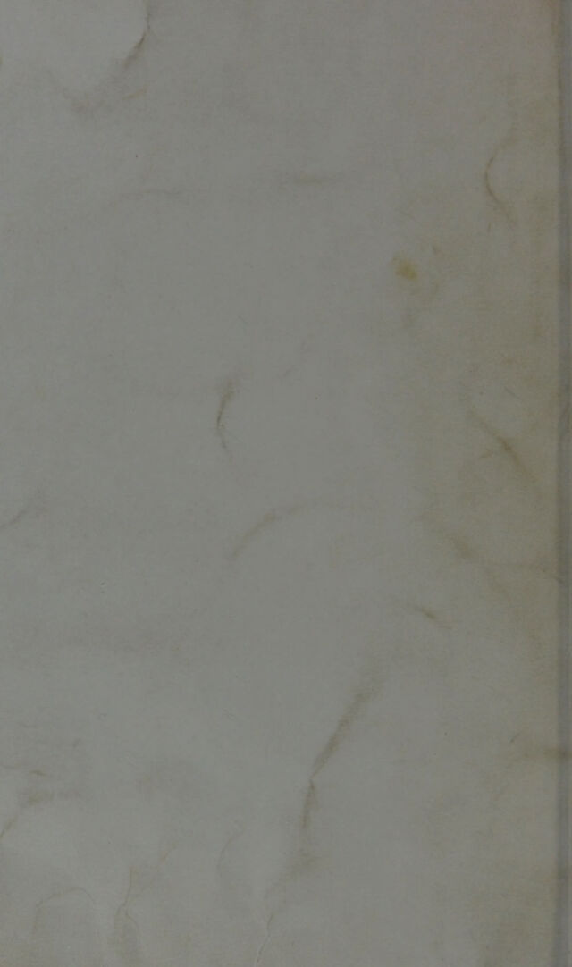 digitised image 2