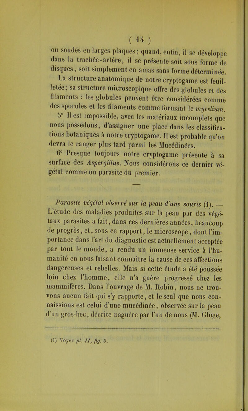 ou soudés en larges plaques; quand,enfin, il se développe dans la trachée-artère, il se présente soit sous forme de disques, soit simplement en amas sans forme déterminée. La structure analomique de notre cryptogame est feuil- letée; sa structure microscopique offre des globules et des filaments : les globules peuvent être considérées comme dessporules et les filaments comme formant le mycélium. 5° Il est impossible, avec les matériaux incomplets que nous possédons, d'assigner une place dans les classifica- tions botaniques à notre cryptogame. Il est probable qu'on devra le ranger plus tard parmi les Mucédinées. 6° Presque toujours notre cryptogame présente à sa surface des Aspergillus. Nous considérons ce dernier vé- gétal comme un parasite du premier. Parasite végétal observé sur la peau d'une souris (1). — L'étude des maladies produites sur la peau par des végé- taux parasites a fait, dans ces dernières années, beaucoup de progrès, et, sous ce rapport, le microscope, dont l'im- portance dans l'art du diagnostic est actuellement acceptée par tout le monde, a rendu un immense service à l'hu- manité en nous faisant connaître la cause de ces affections dangereuses et rebelles. Mais si cette étude a été poussée loin chez l'homme, elle n'a guère progressé chez les mammifères. Dans l'ouvrage de M. Robin, nous ne trou- vons aucun fait qui s'y rapporte, et le seul que nous con- naissions est celui d'une mucédinée, observée sur la peau d'un gros-bec, décrite naguère par l'un de nous (M. Gluge,