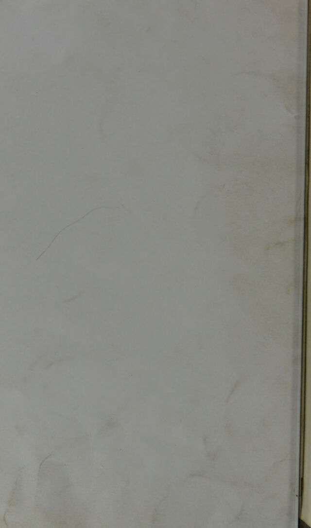 digitised image 2