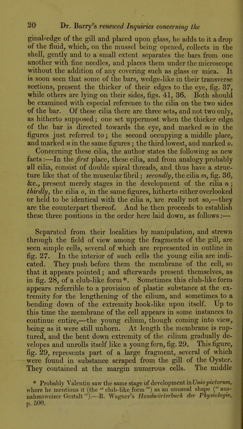 ginal'edge of the gill and placed upon glass, he adds to it a drop of the fluid, which, on the mussel being opened, collects in the shell, gently and to a small extent separates the bars from one another with fine needles, and places them under the microscope without the addition of any covering such as glass or mica. It is soon seen that some of the bars, wedge-like in their transverse sections, present the thicker of their edges to the eye, fig. 37, while others are lying on their sides, figs. 41, 36. Both should be examined with especial reference to the cilia on the two sides of the bar. Of these cilia there are three sets, and not two only, as hitherto supposed; one set uppermost when the thicker edge of the bar is directed towards the eye, and marked m in the figures just referred to; the second occupying a middle place, and marked n in the same figures; the thii'd lowest, and marked o. Concerning these cilia, the author states the following as new facts:—In the Jirst place, these cilia, and from analogy probably all cilia, consist of double spiral threads, and thus have a struc- ture like that of the muscular fibril; secondly, the cilia m, fig. 36, &c., present merely stages in the development of the cilia 7i; thirdhj, the cilia o, in the same figures, hitherto either overlooked or held to be identical with the cilia n, are really not so,—they are the countei-part thereof. And he then proceeds to estabUsh these three positions in the order here laid down, as follows:— Separated from their localities by manipulation, and strewn through the field of view among the fragments of the gill, are seen simple cells, several of which are represented in outline in fig. 27. In the interior of such cells the young cilia are indi- cated. They push before them the membrane of the cell, so that it appears pointed; and afterwards present themselves, as in fig. 38, of a club-like form*. Sometimes this club-like form appears referrible to a provision of plastic substance at the ex- tremity for the lengthening of the cilium, and sometimes to a bending down of the extremity hook-like upon itself. Up to this time the membrane of the cell appears in some instances to continue entii-e,—the young cilium, though coming into view, being as it were still unborn. At length the membrane is rup- tured, and the bent down extremity of the cilium gradually de- velopes and imroUs itself like a young fern, fig. 29. This figure, fig. 29, represents part of a large fragment, several of which were found in substance scraped from the gill of the Oyster. They contained at the margin numerous cells. The middle * Probably Valentin saw the same stage of development in Uniopictorum, where he mentions it (the  elub-likc form ) as an unusual shape ( aus- nalimsvvciscr Gcstalt).—R. Wagner's Handworterhuch der Physiologic, p. 500.